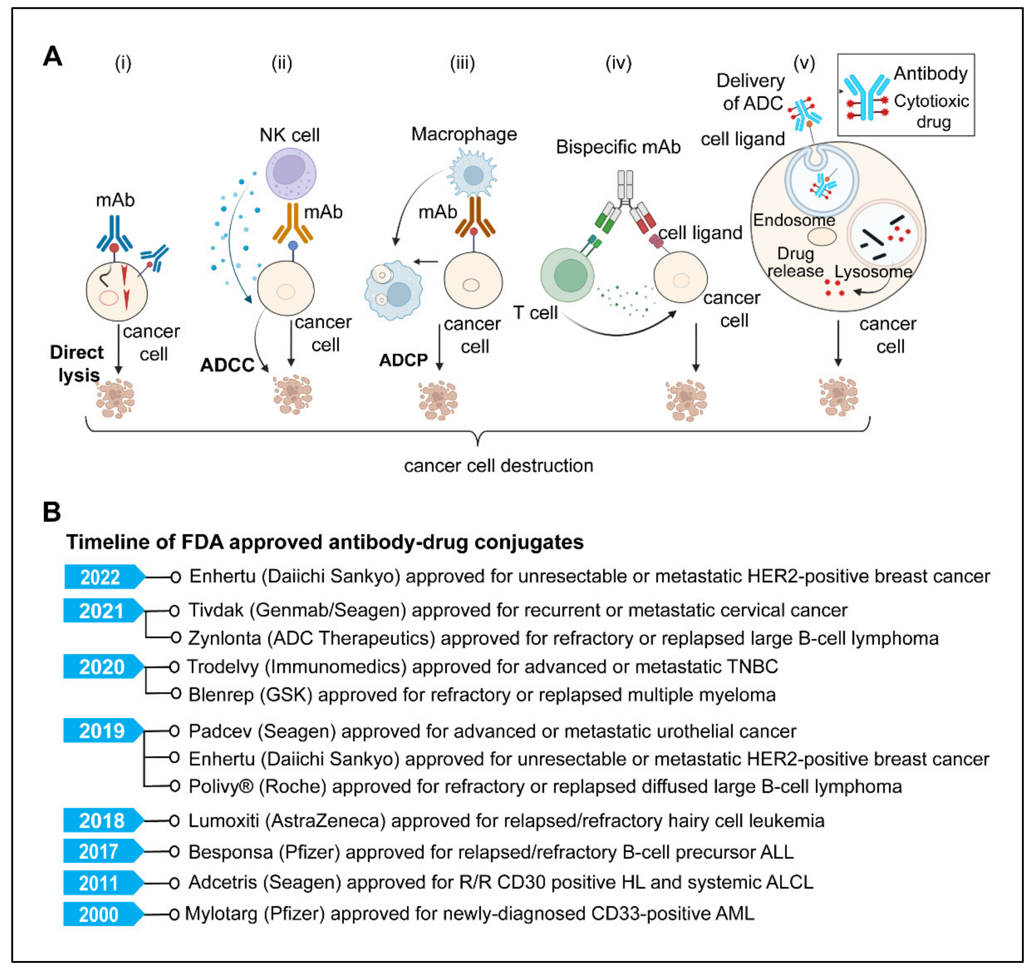Diseases 10 00060 g004 550