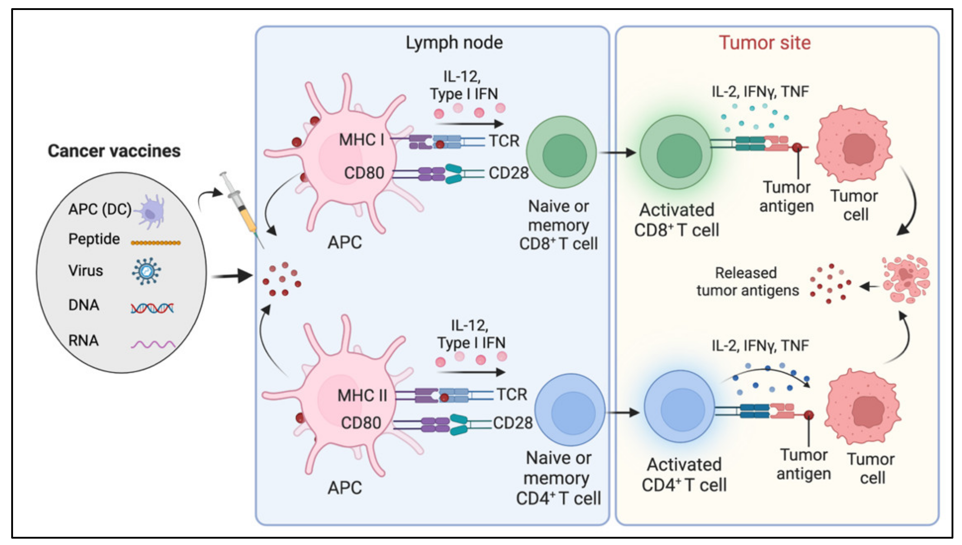 Diseases 10 00060 g006 550