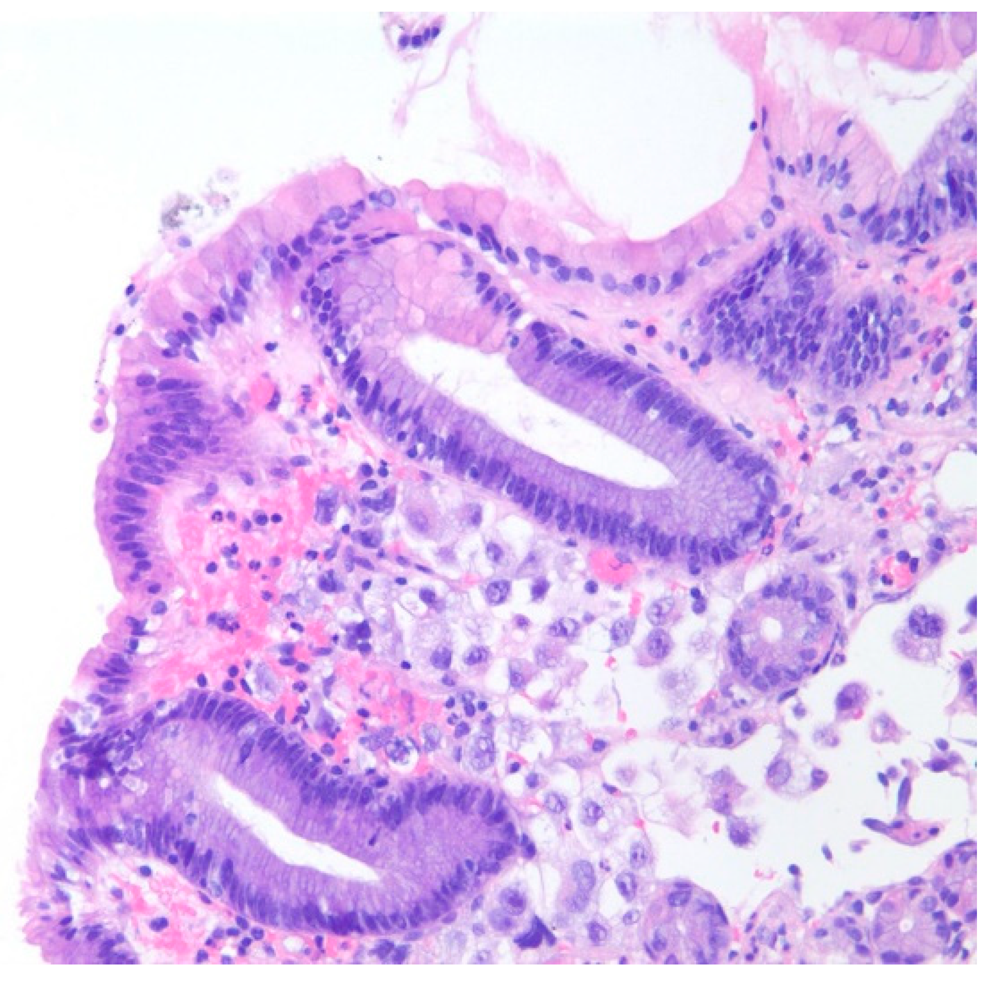 Diseases 10 00061 g003