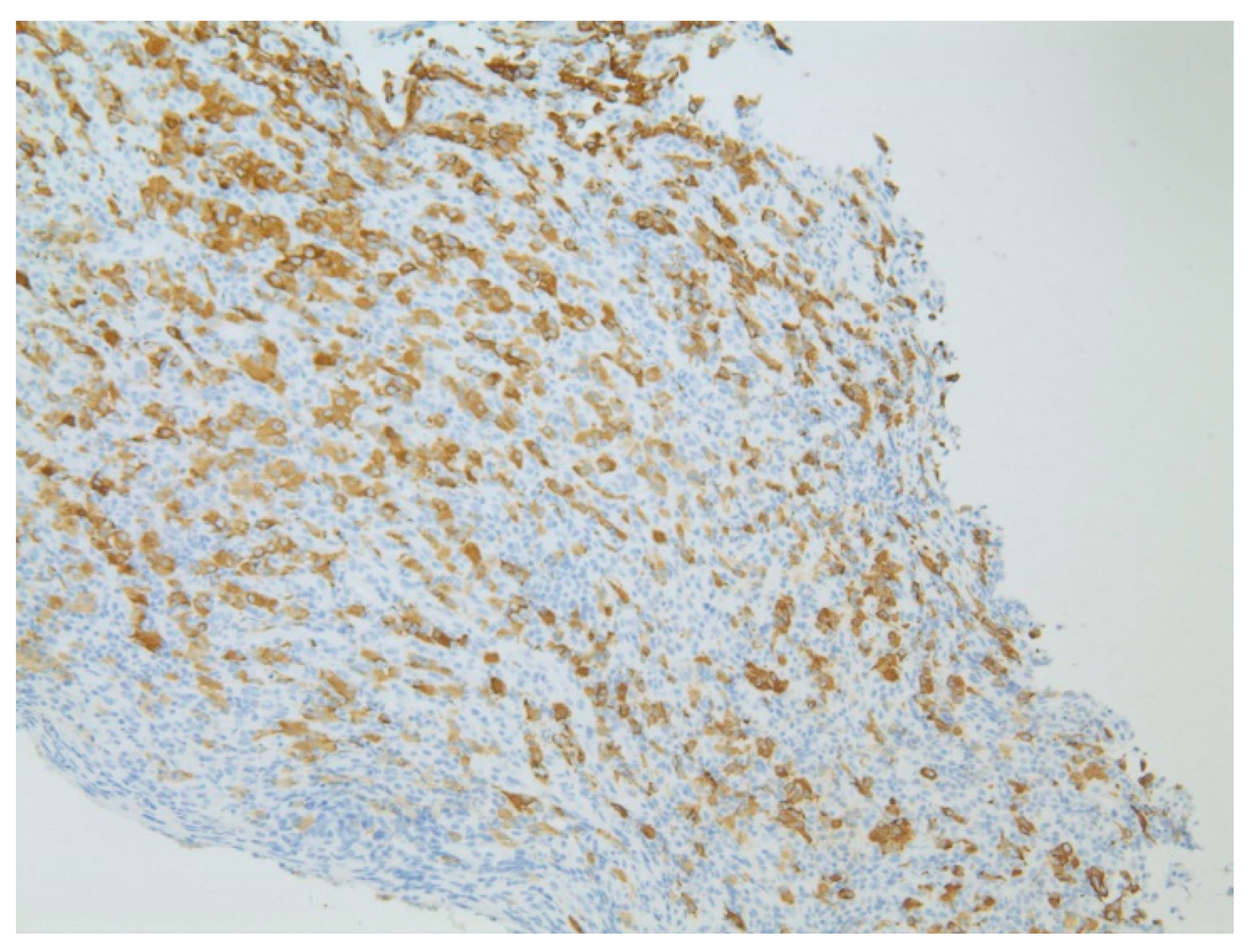 Diseases 10 00061 g005