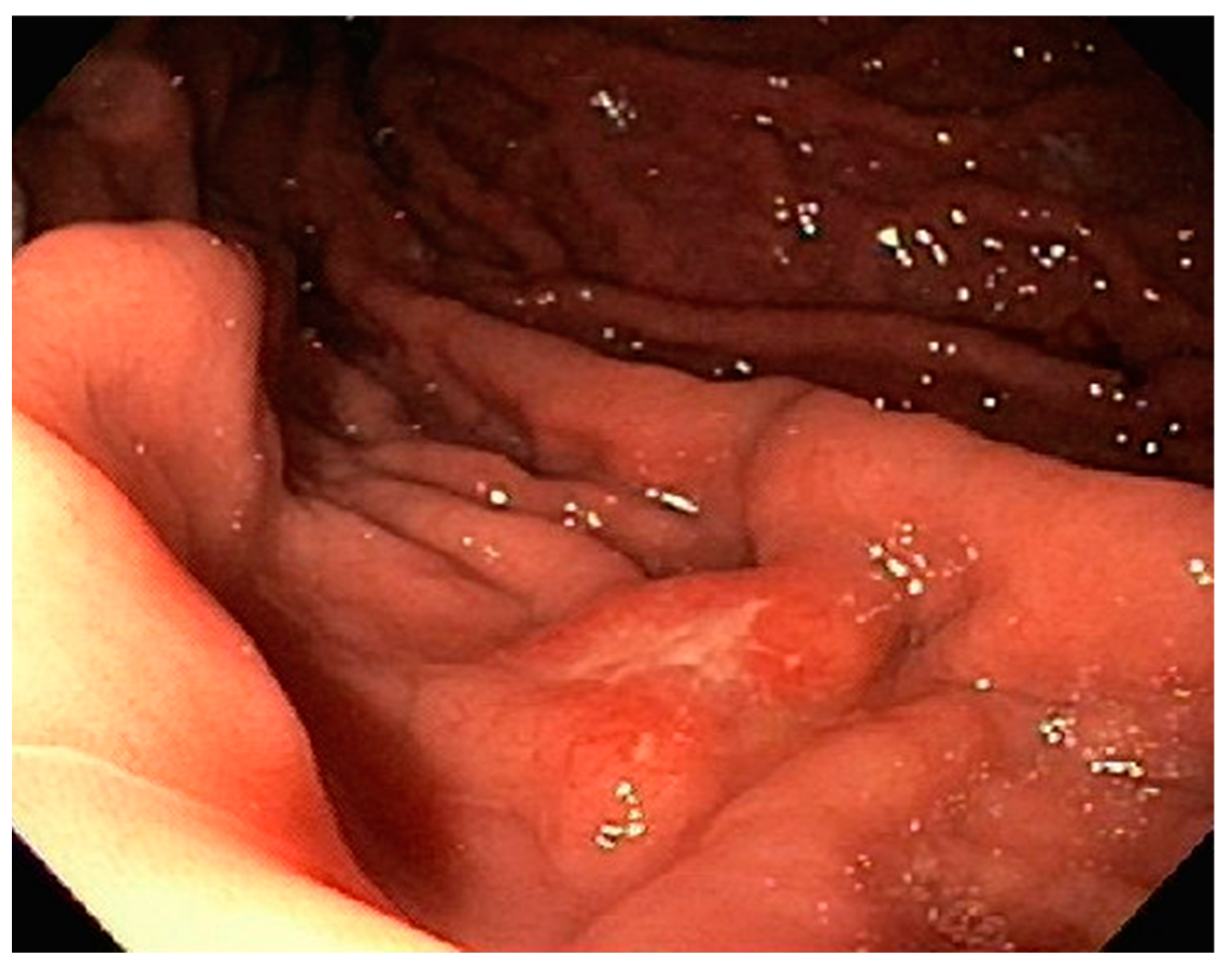 Diseases 10 00061 g007