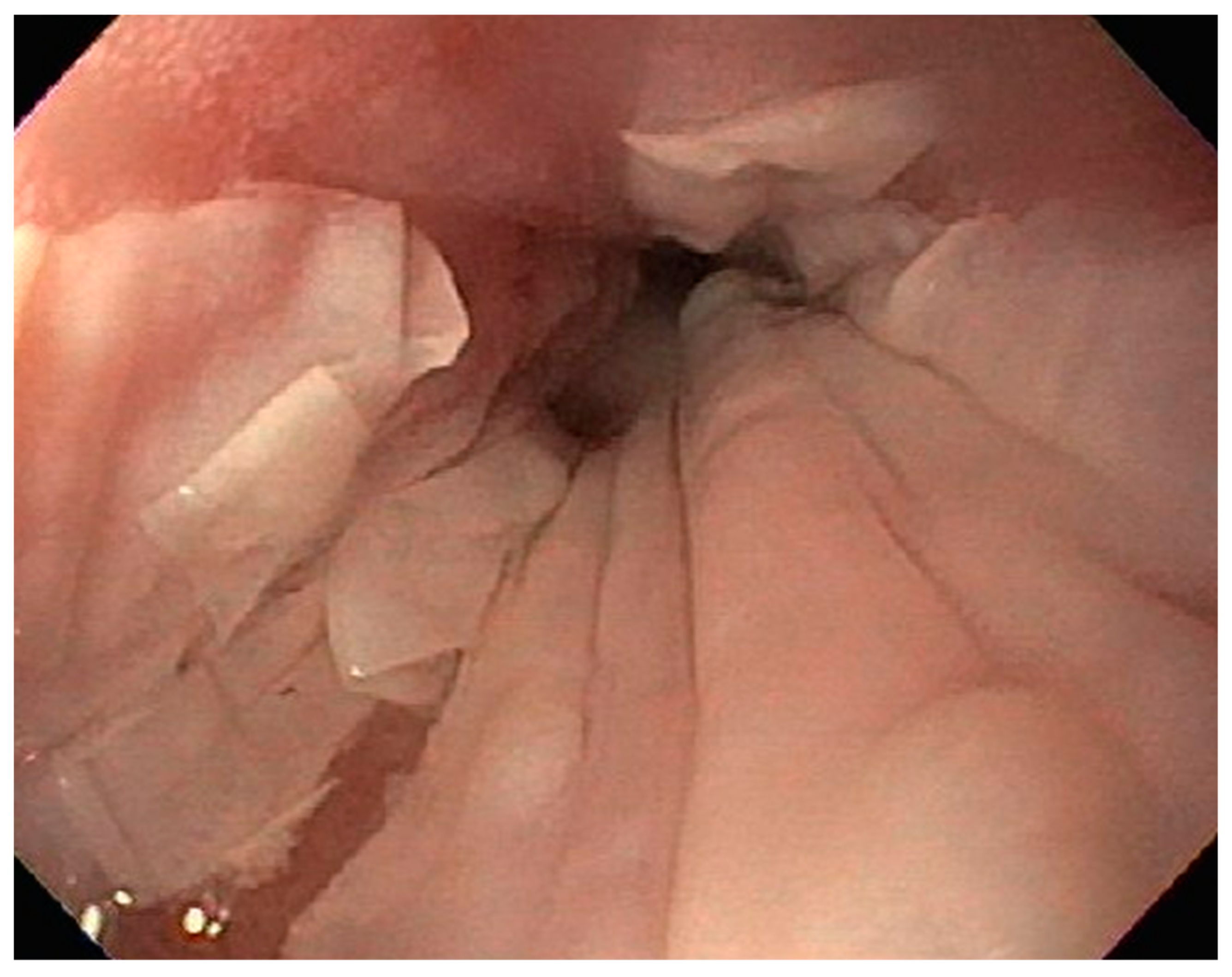 Diseases 10 00061 g008