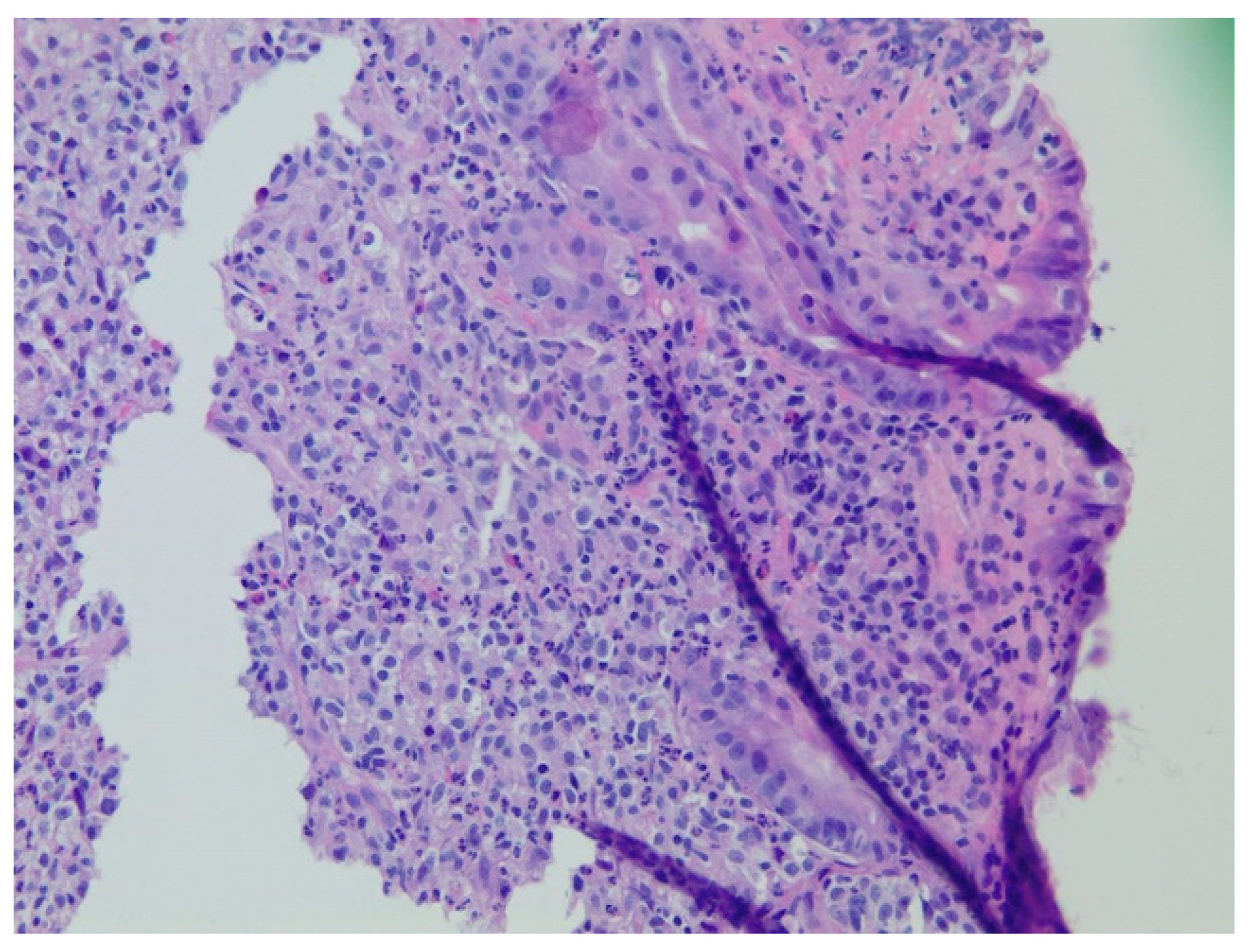 Diseases 10 00061 g009