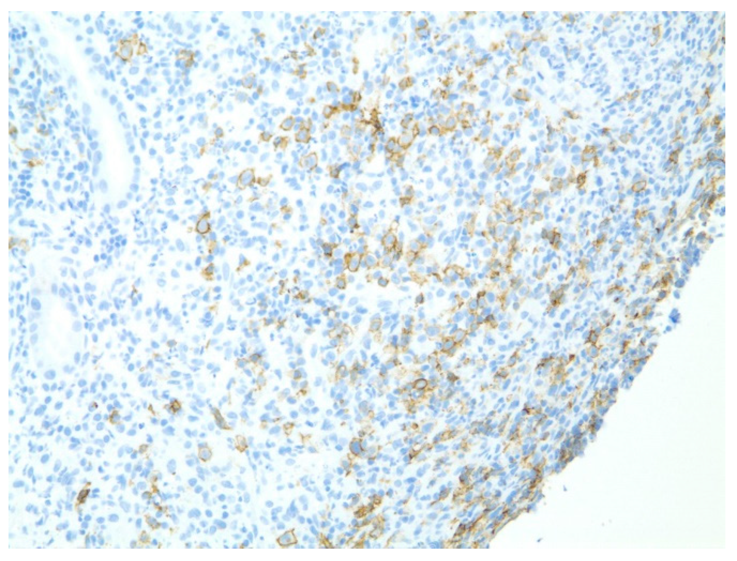 Diseases 10 00061 g010