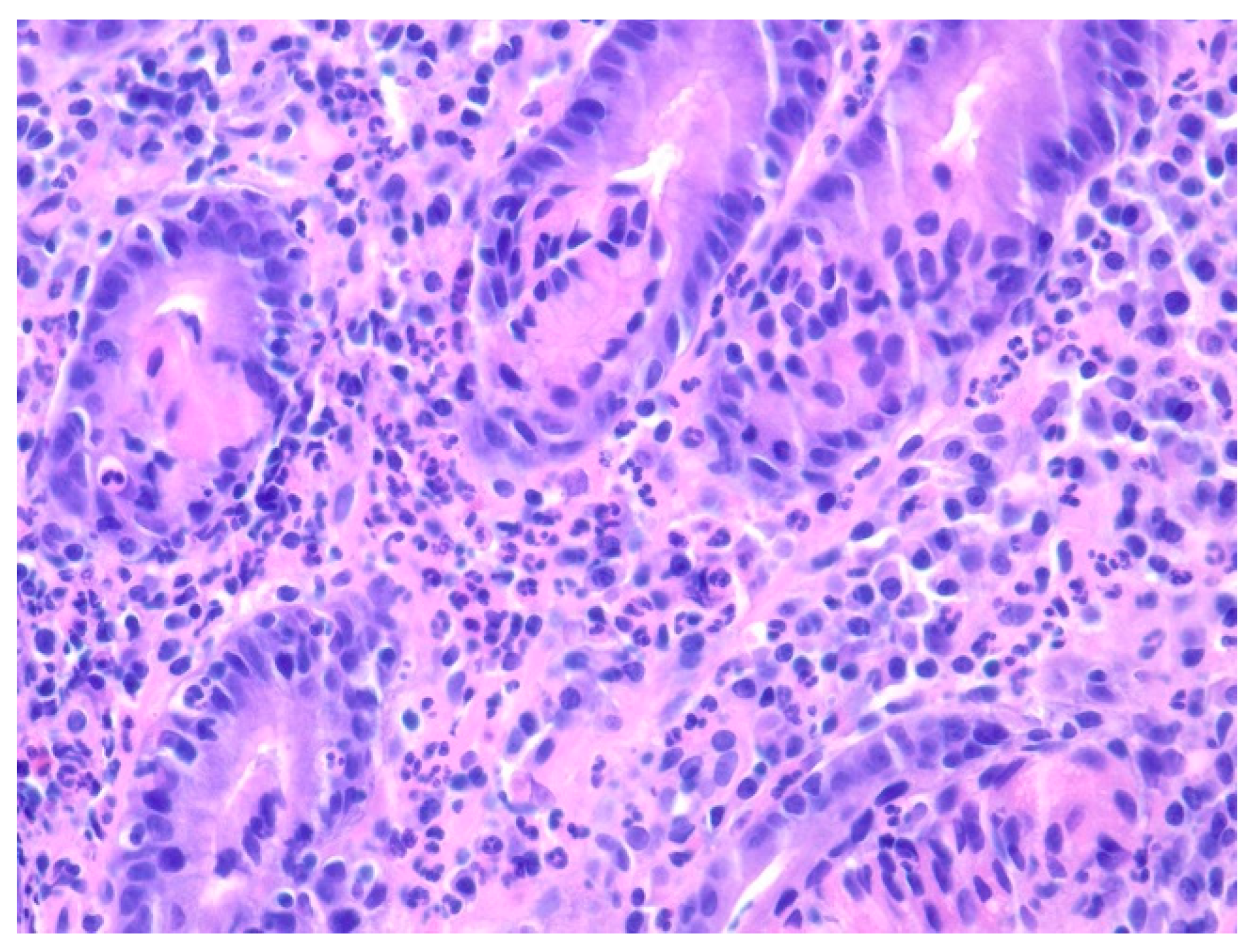 Diseases 10 00061 g012