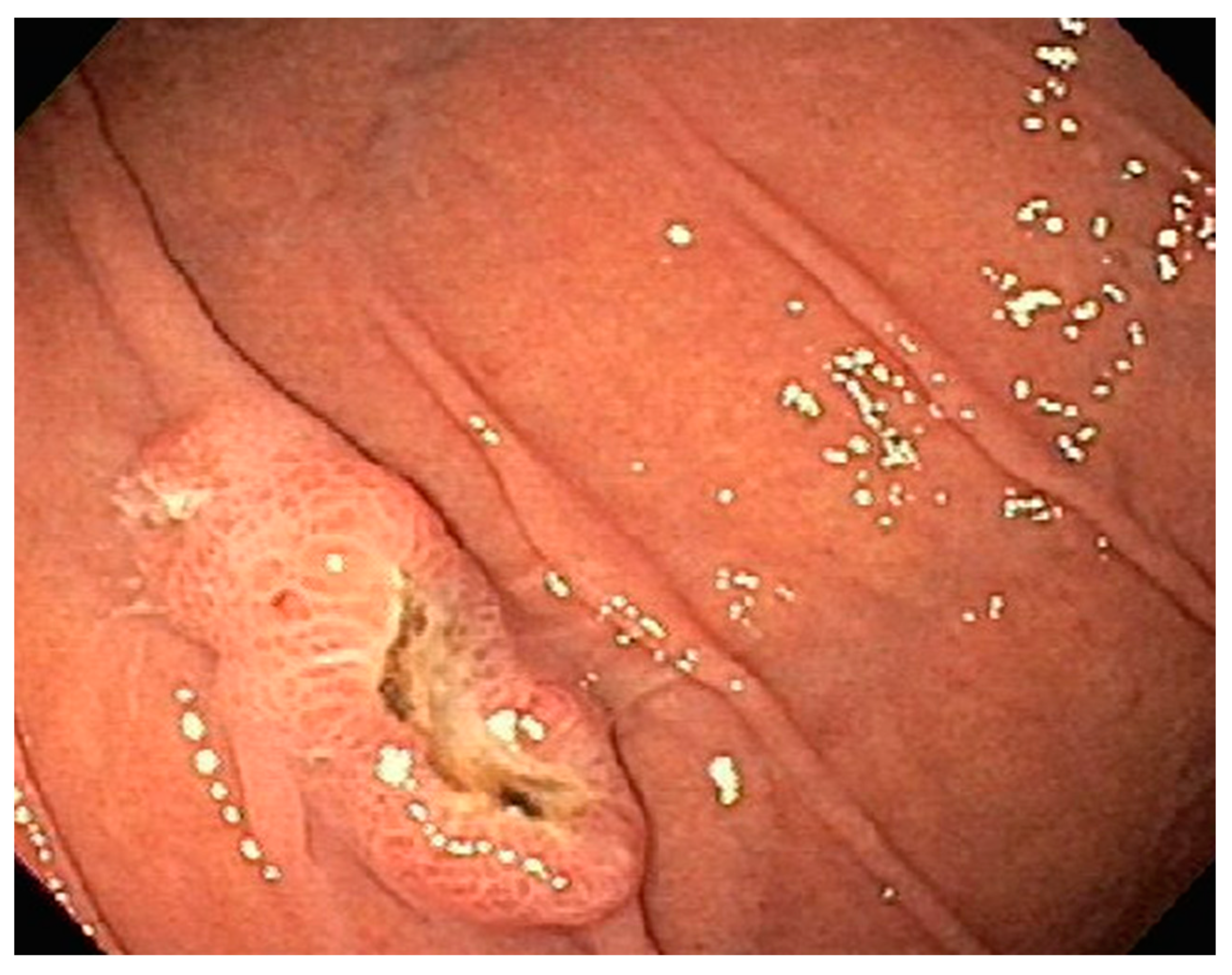 Diseases 10 00061 g017