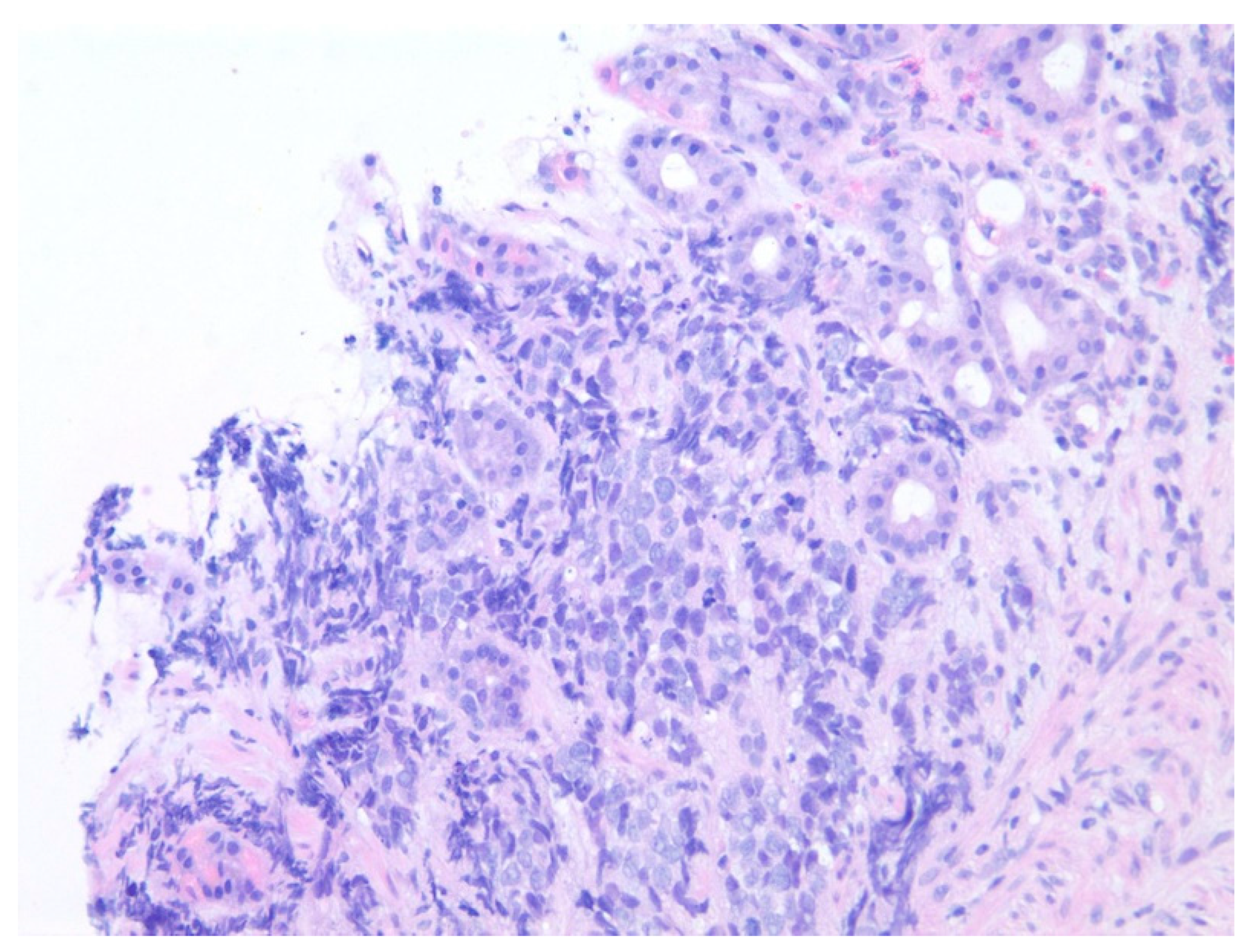 Diseases 10 00061 g018