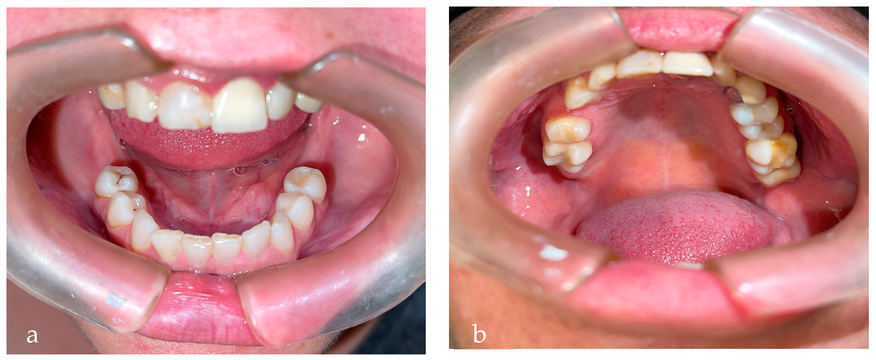 Diseases 10 00062 g004 550