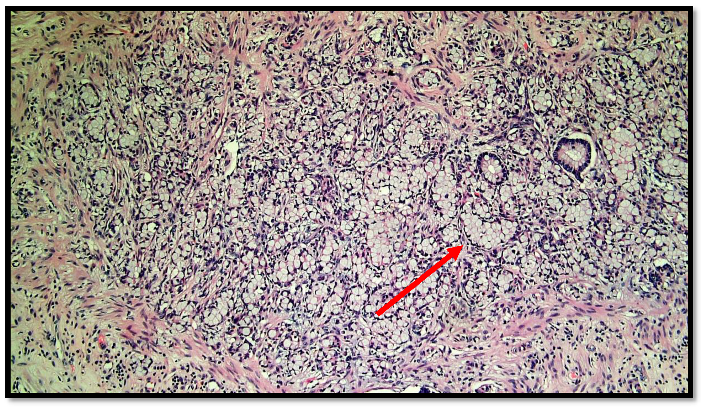 Diseases 10 00077 g002