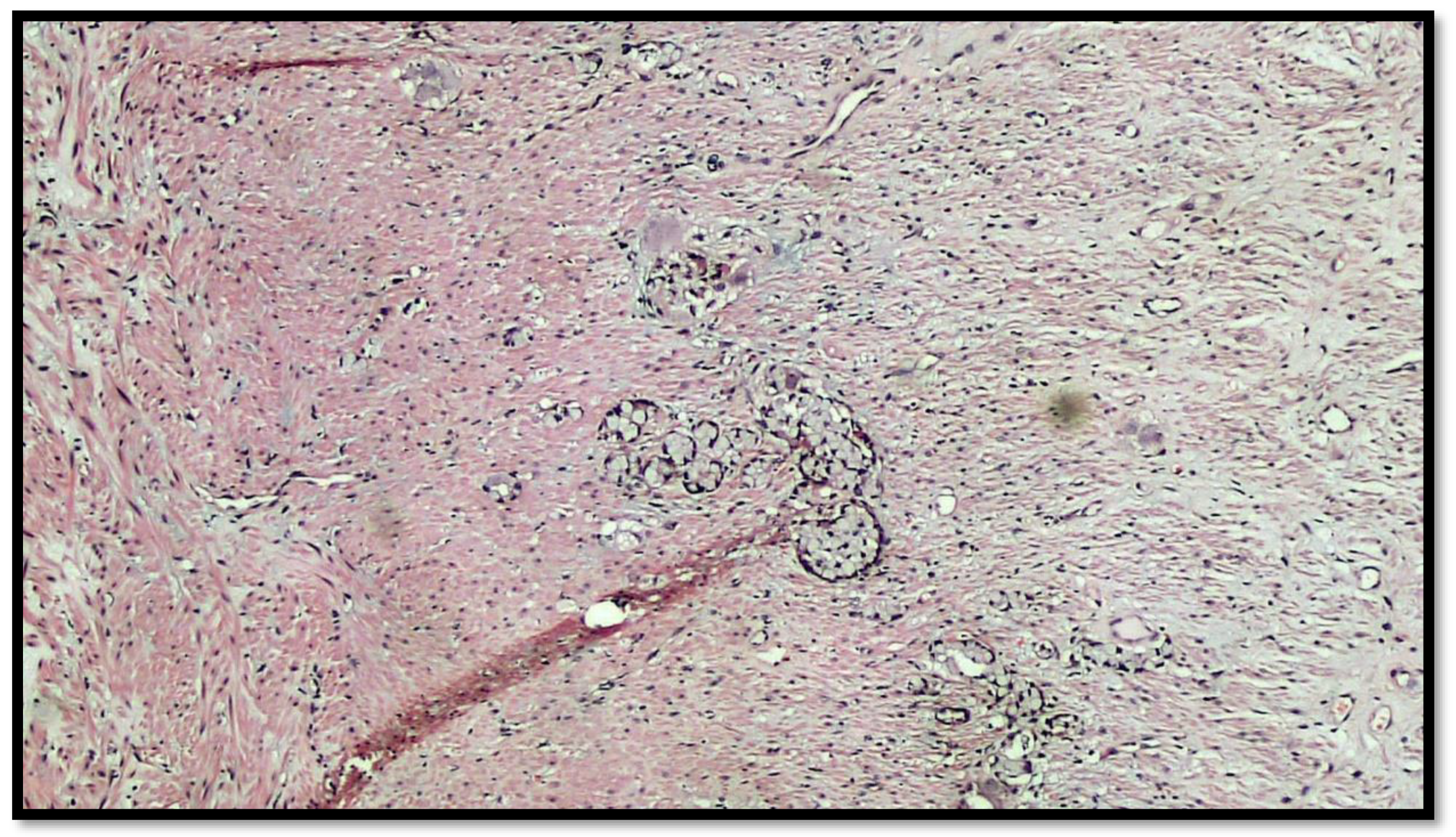 Diseases 10 00077 g004