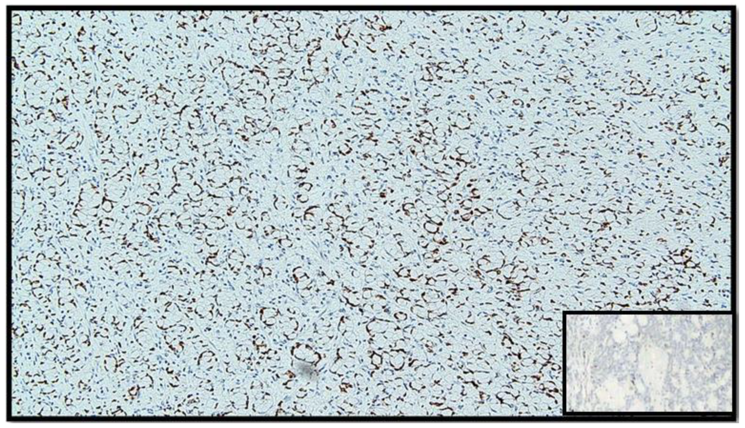 Diseases 10 00077 g006