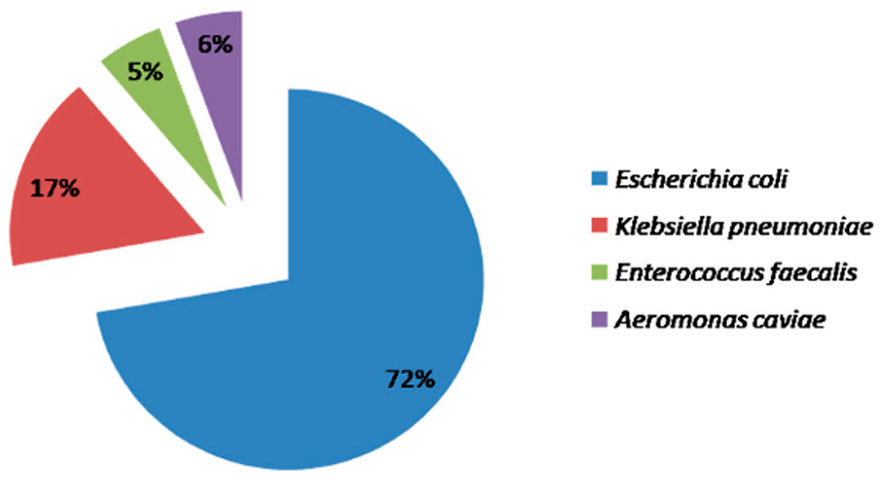 Diseases 10 00078 g001