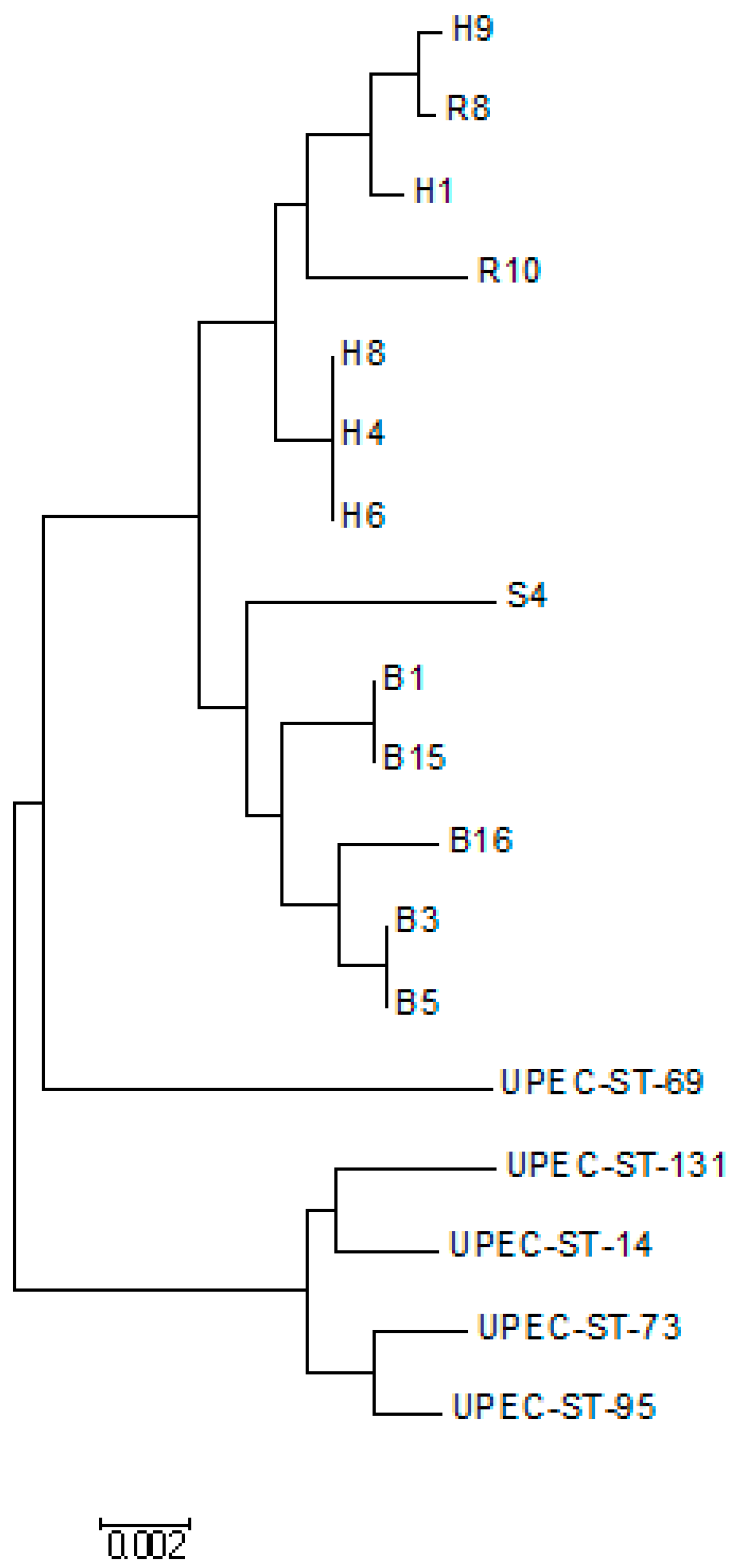 Diseases 10 00078 g002