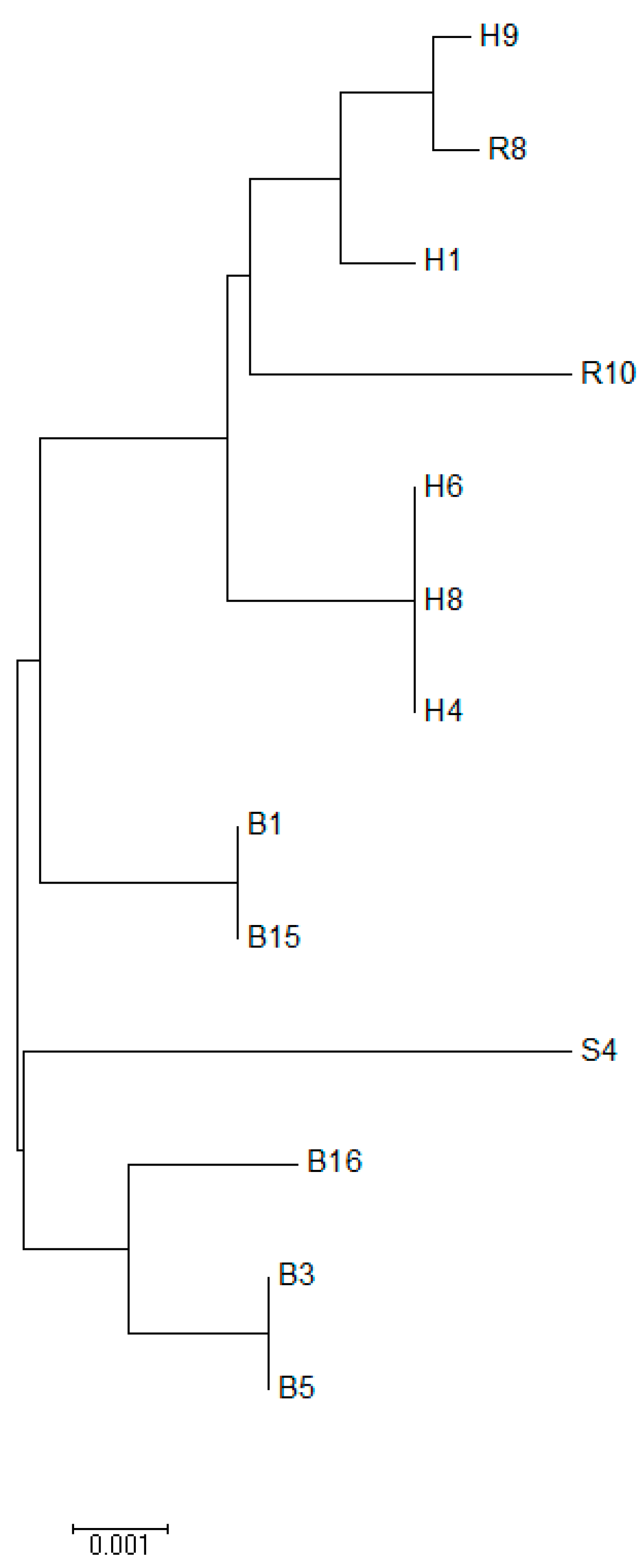 Diseases 10 00078 g003