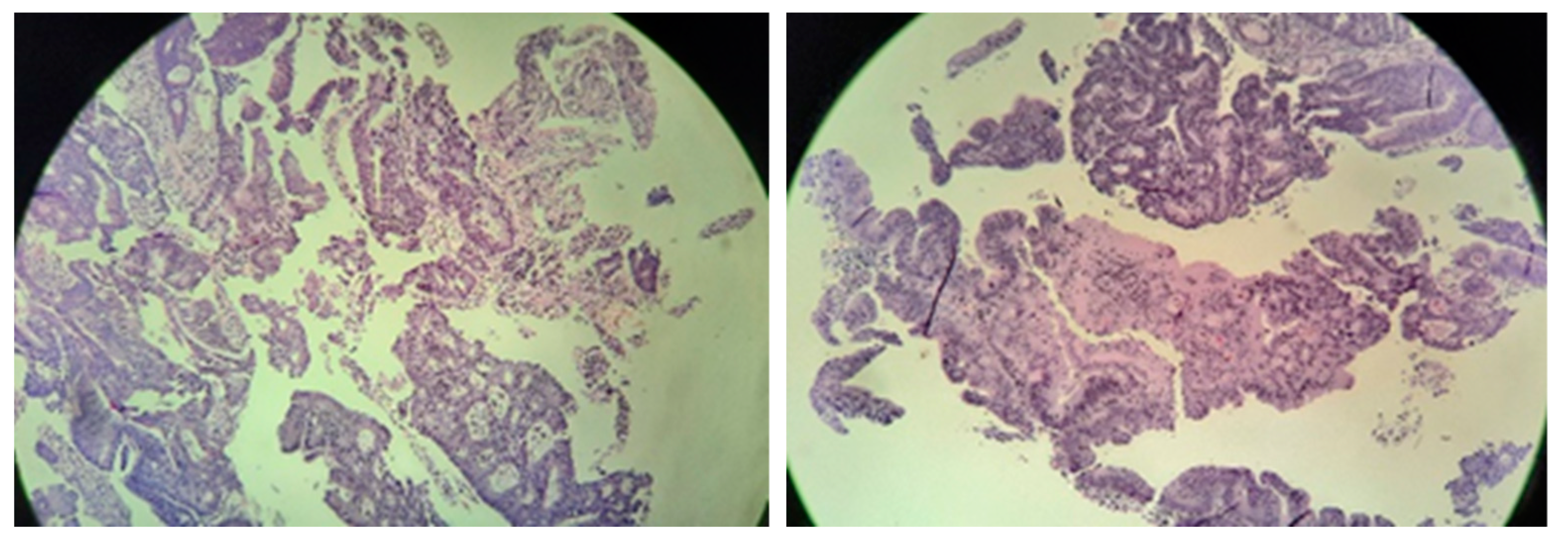 Diseases 10 00079 g004 Diseases 10 00079 g004