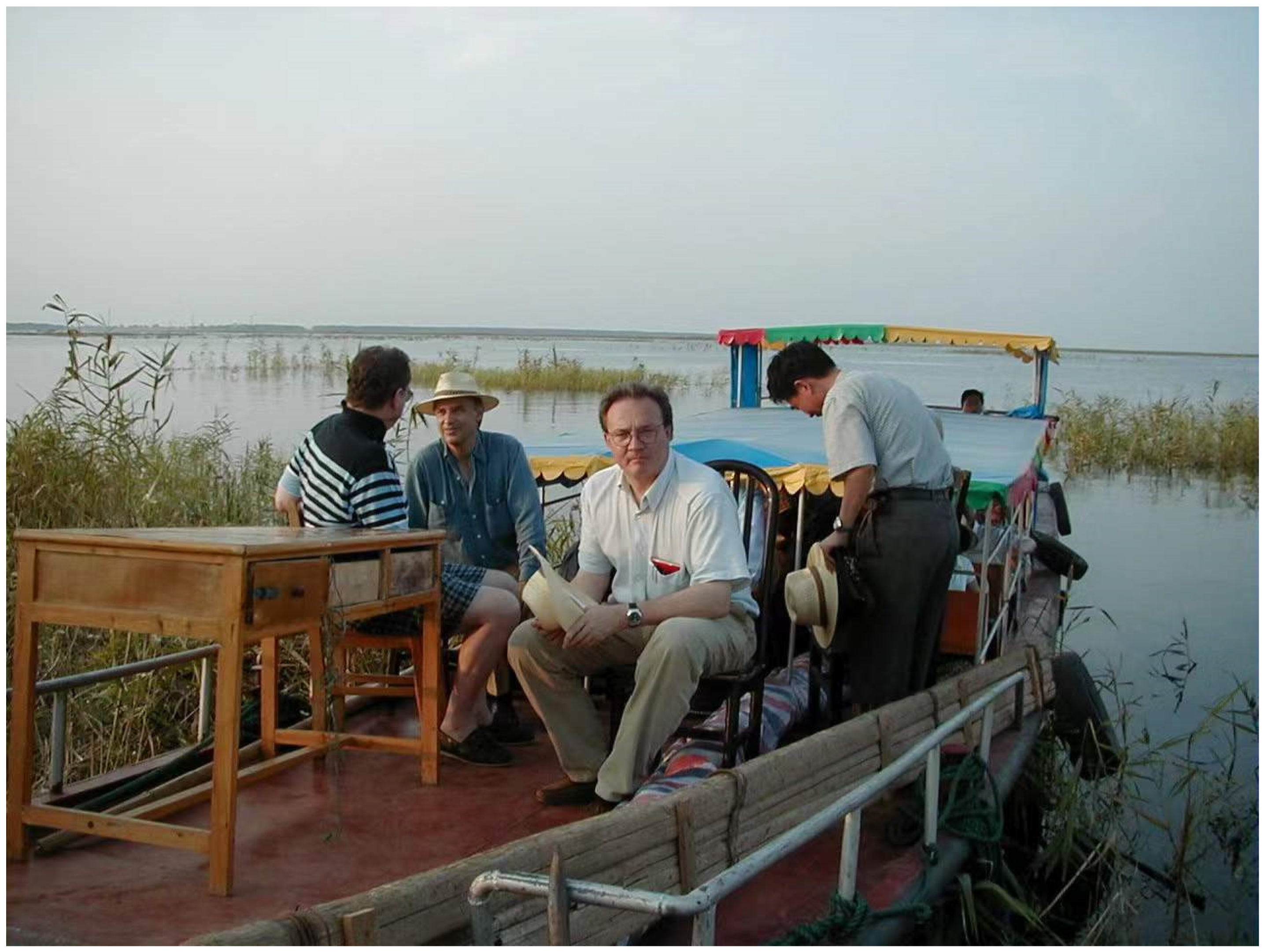 Diseases 10 00083 g002