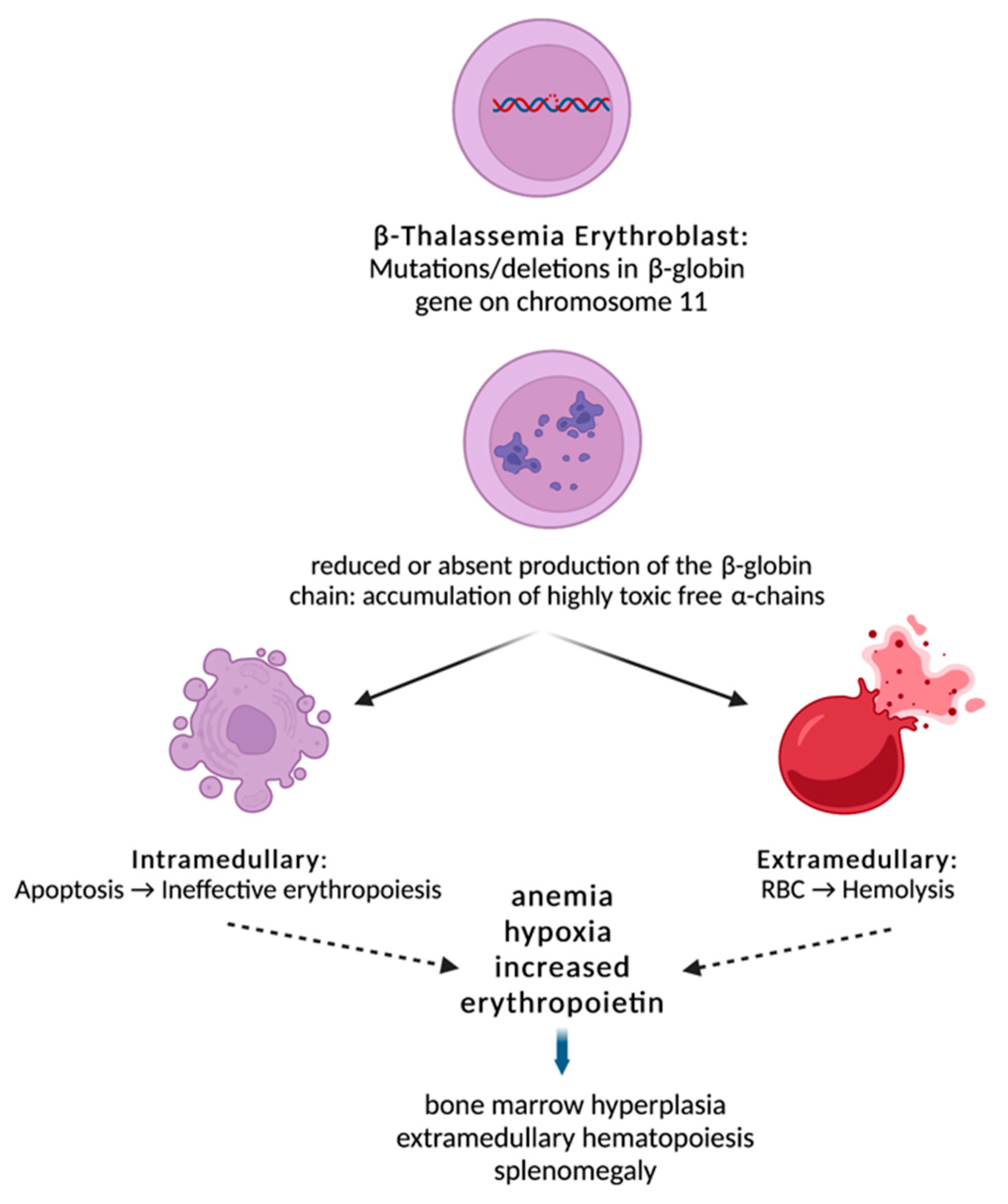 ruxolitinib spc