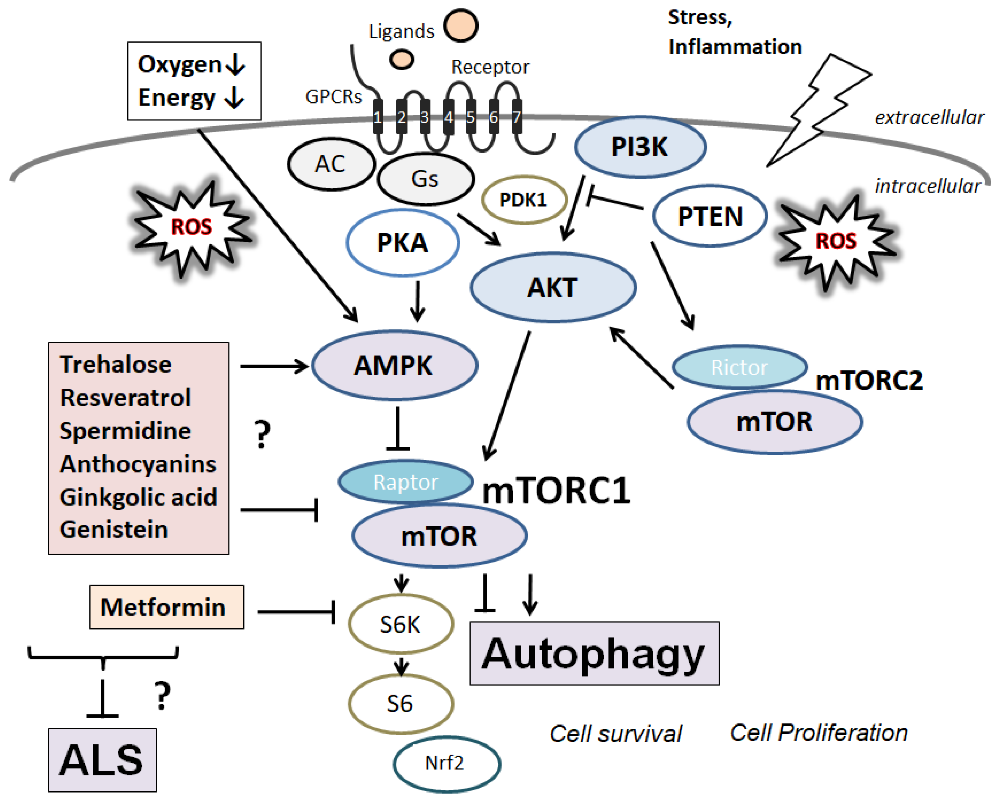 Diseases 10 00117 g002 Diseases 10 00117 g002