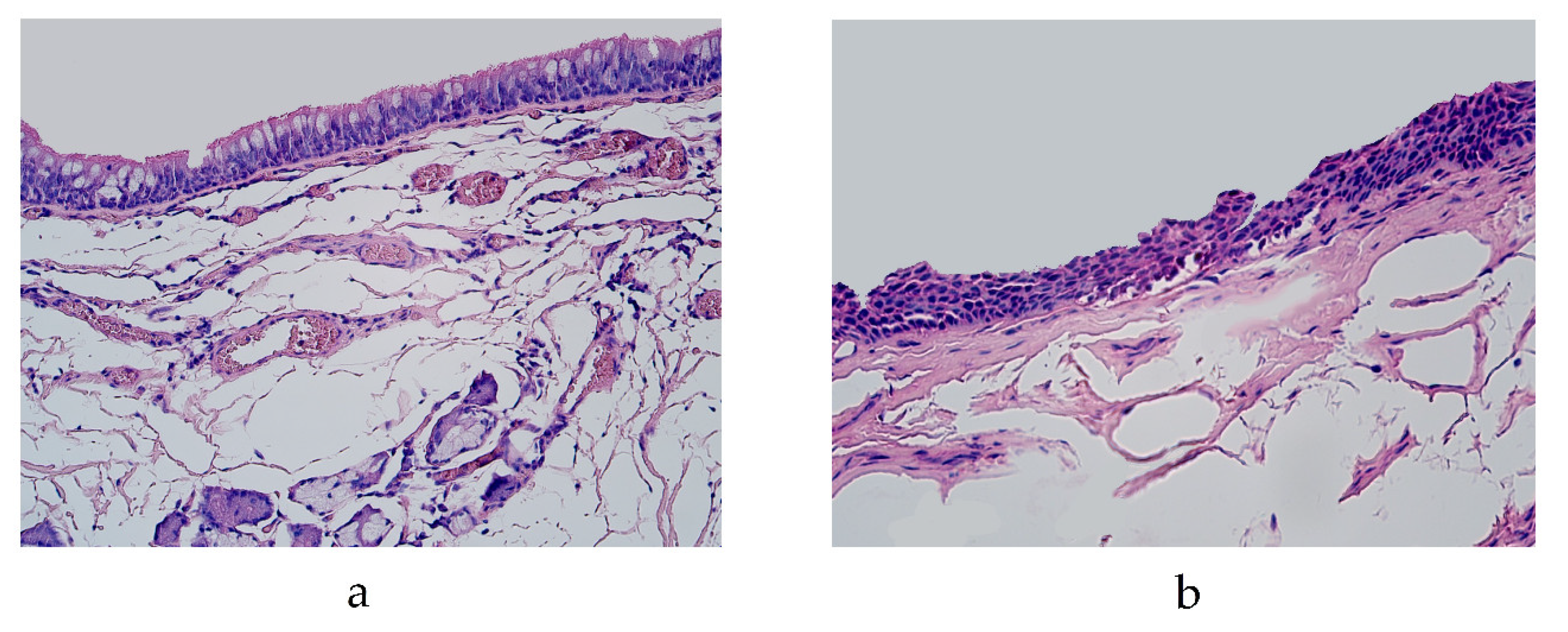 Diseases 11 00005 g001 Diseases 11 00005 g001