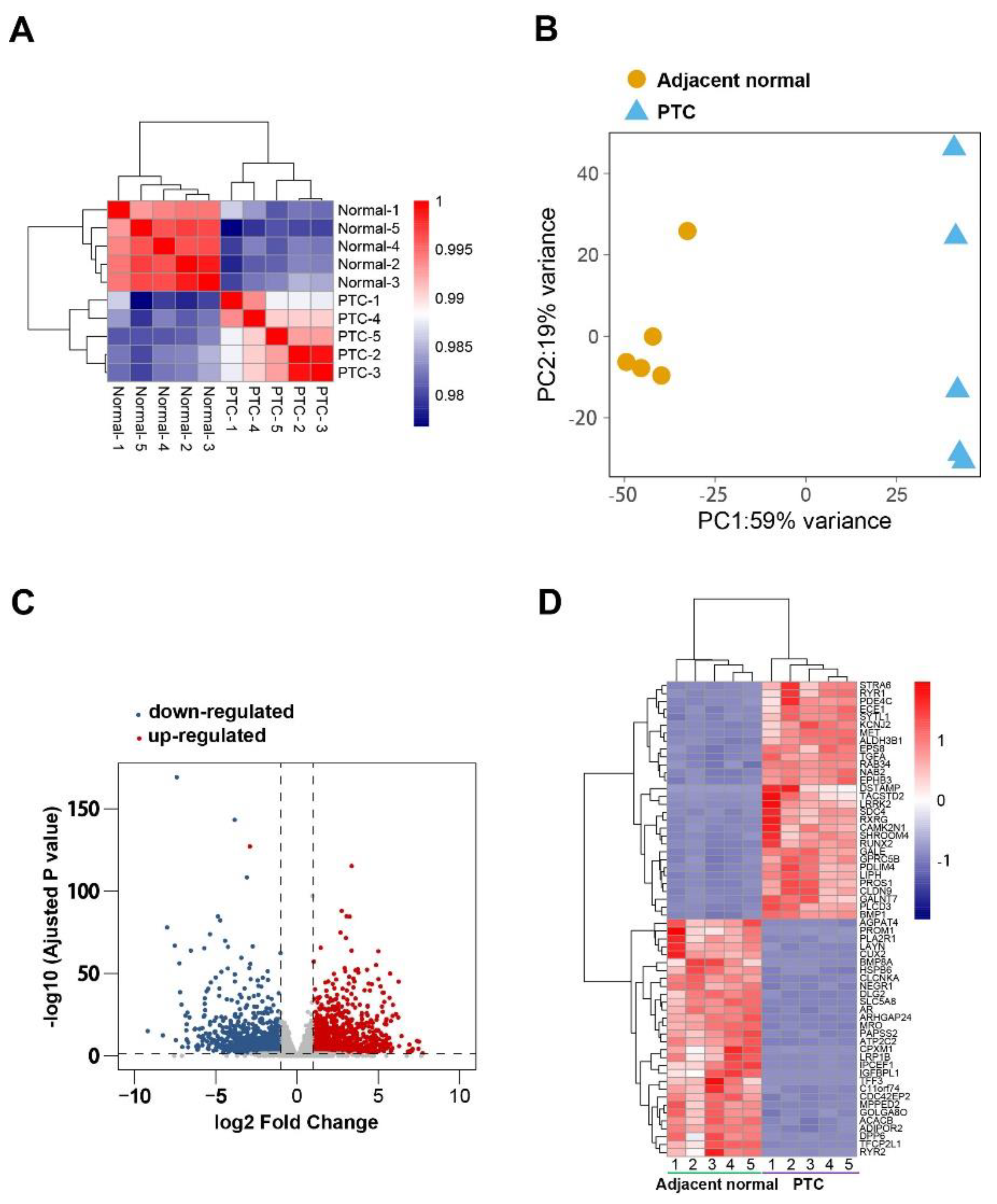 Diseases 11 00009 g001 Diseases 11 00009 g001