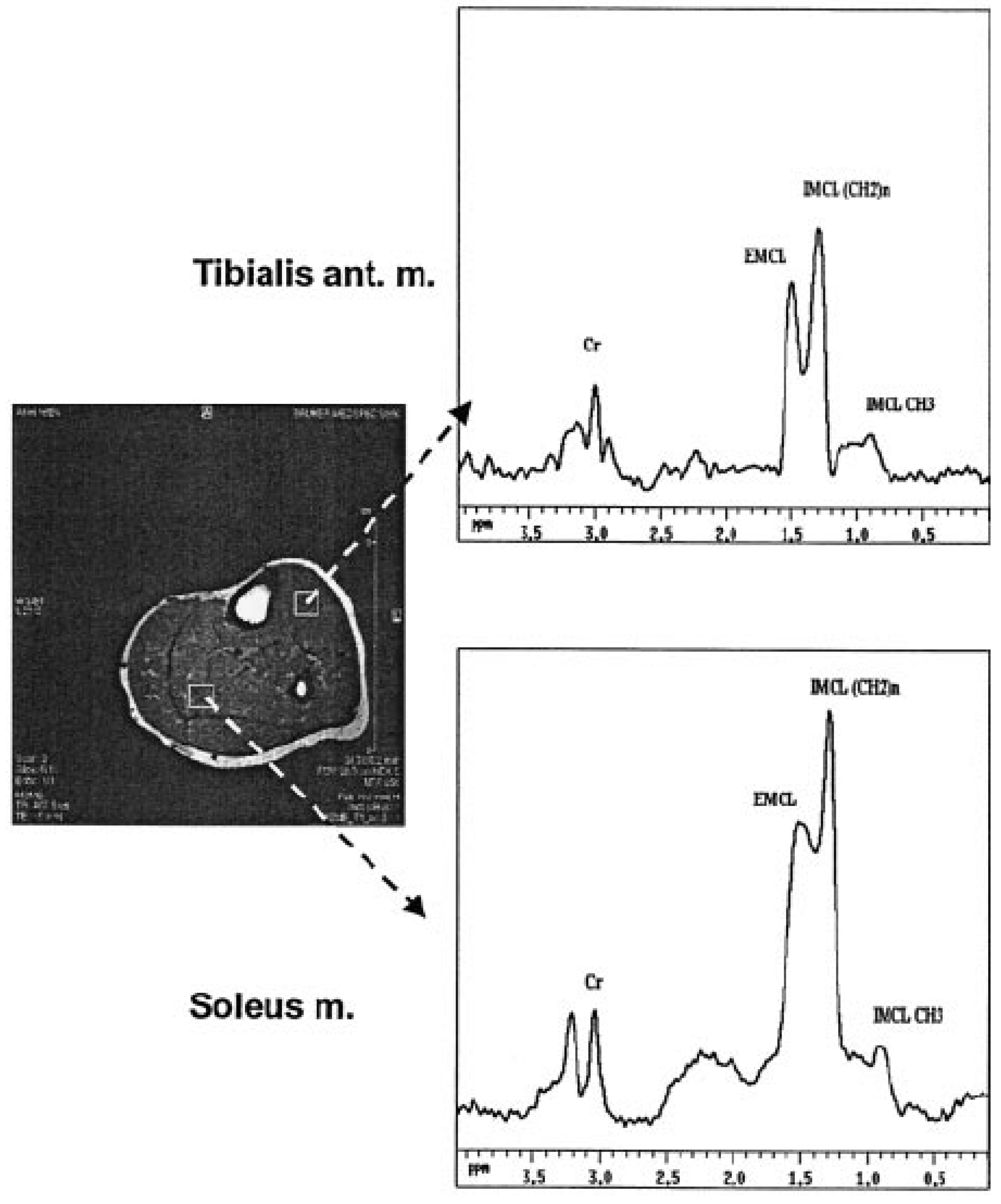 Diseases 11 00016 g002 Diseases 11 00016 g002