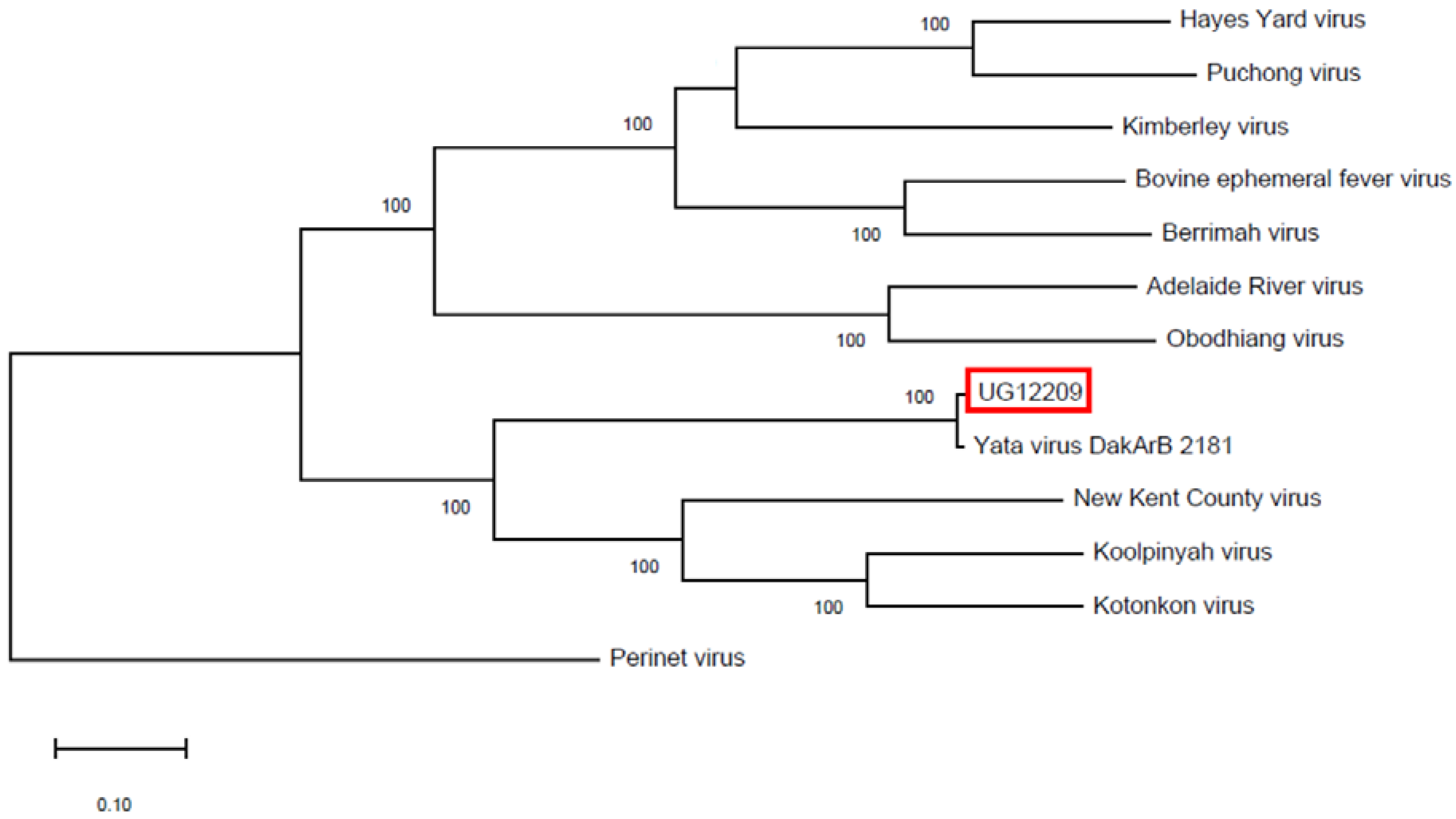 Diseases 11 00021 g003 Diseases 11 00021 g003