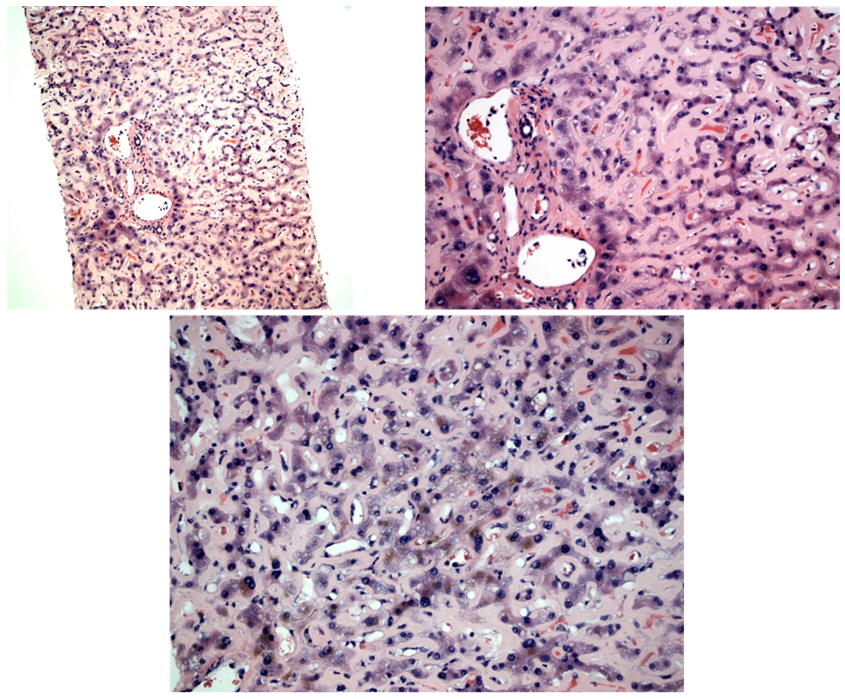 Diseases 11 00024 g001 Diseases 11 00024 g001