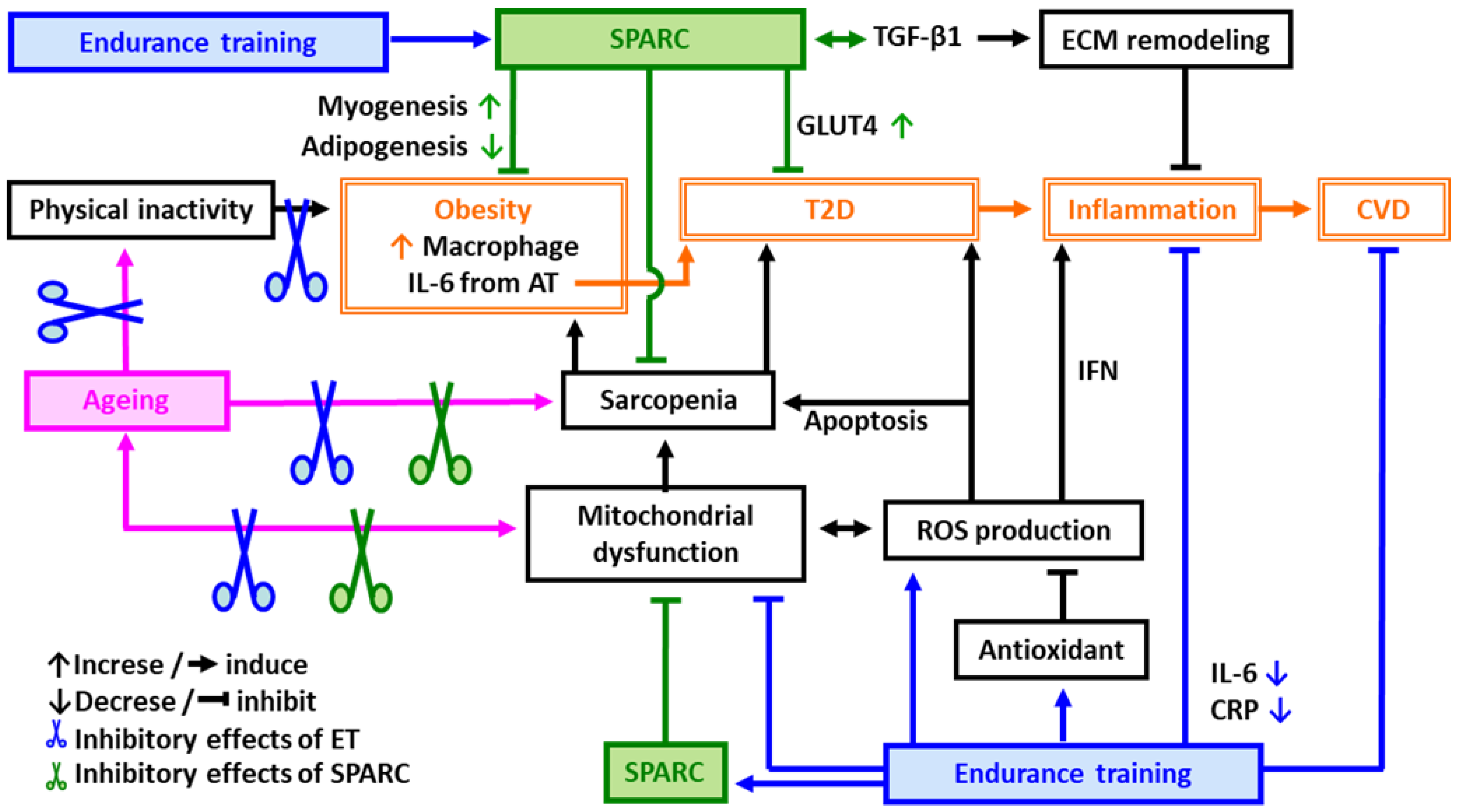 Diseases 11 00033 g001 Diseases 11 00033 g001