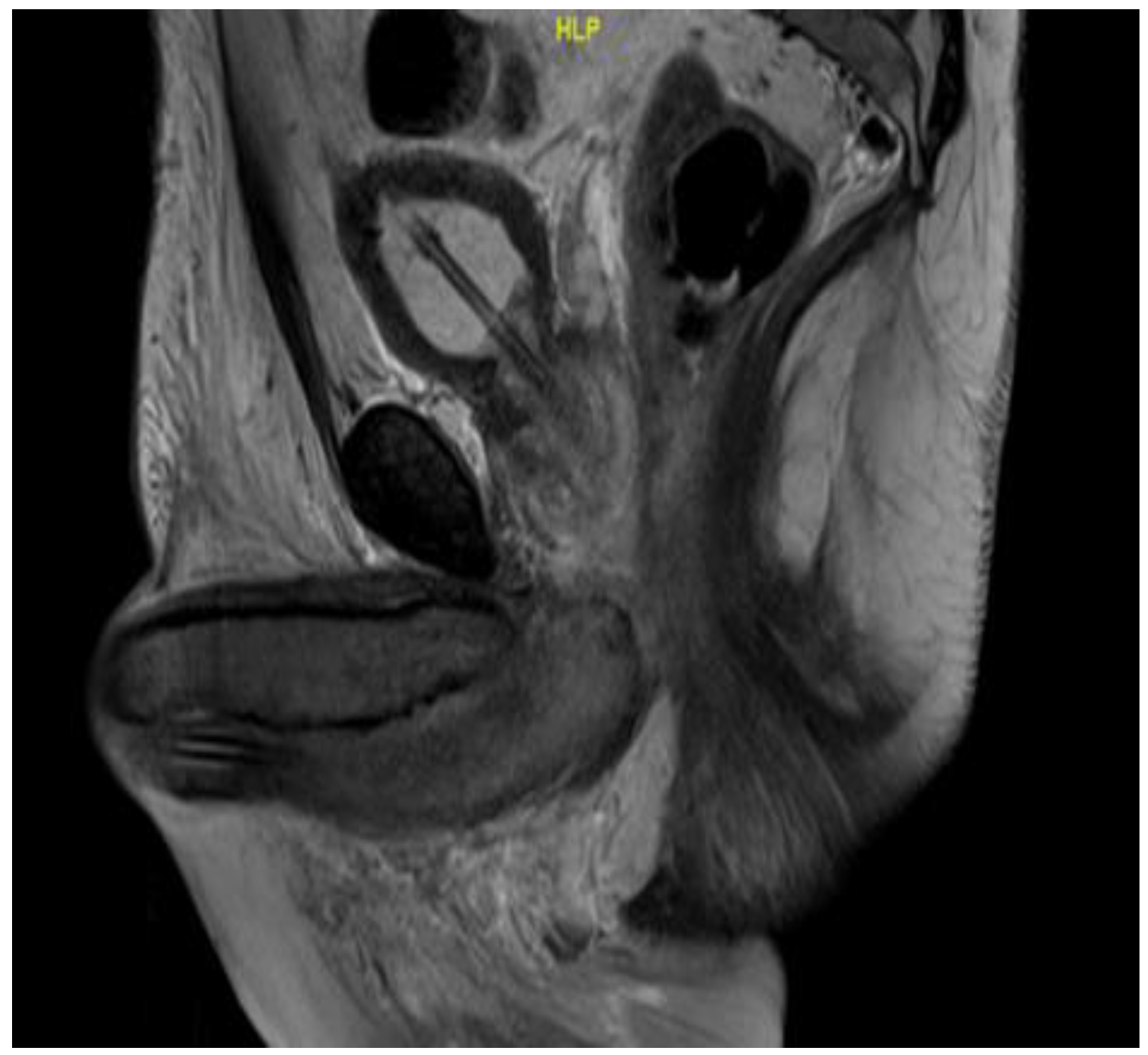 Diseases 11 00034 g002