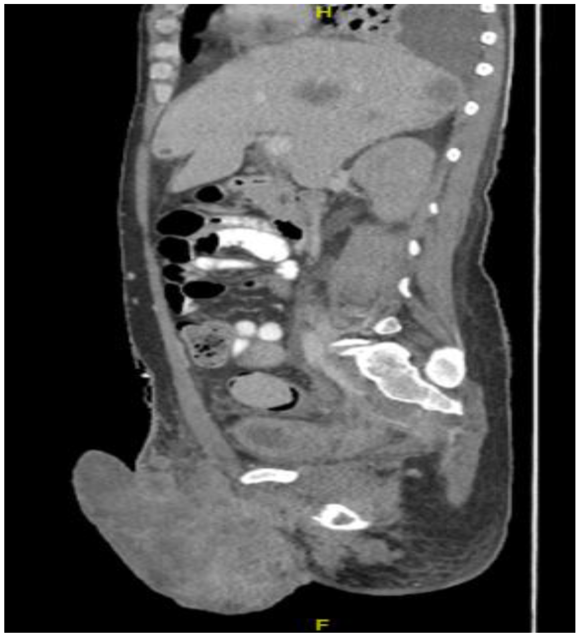 Diseases 11 00034 g008