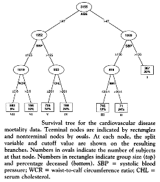 Diseases 11 00035 i005