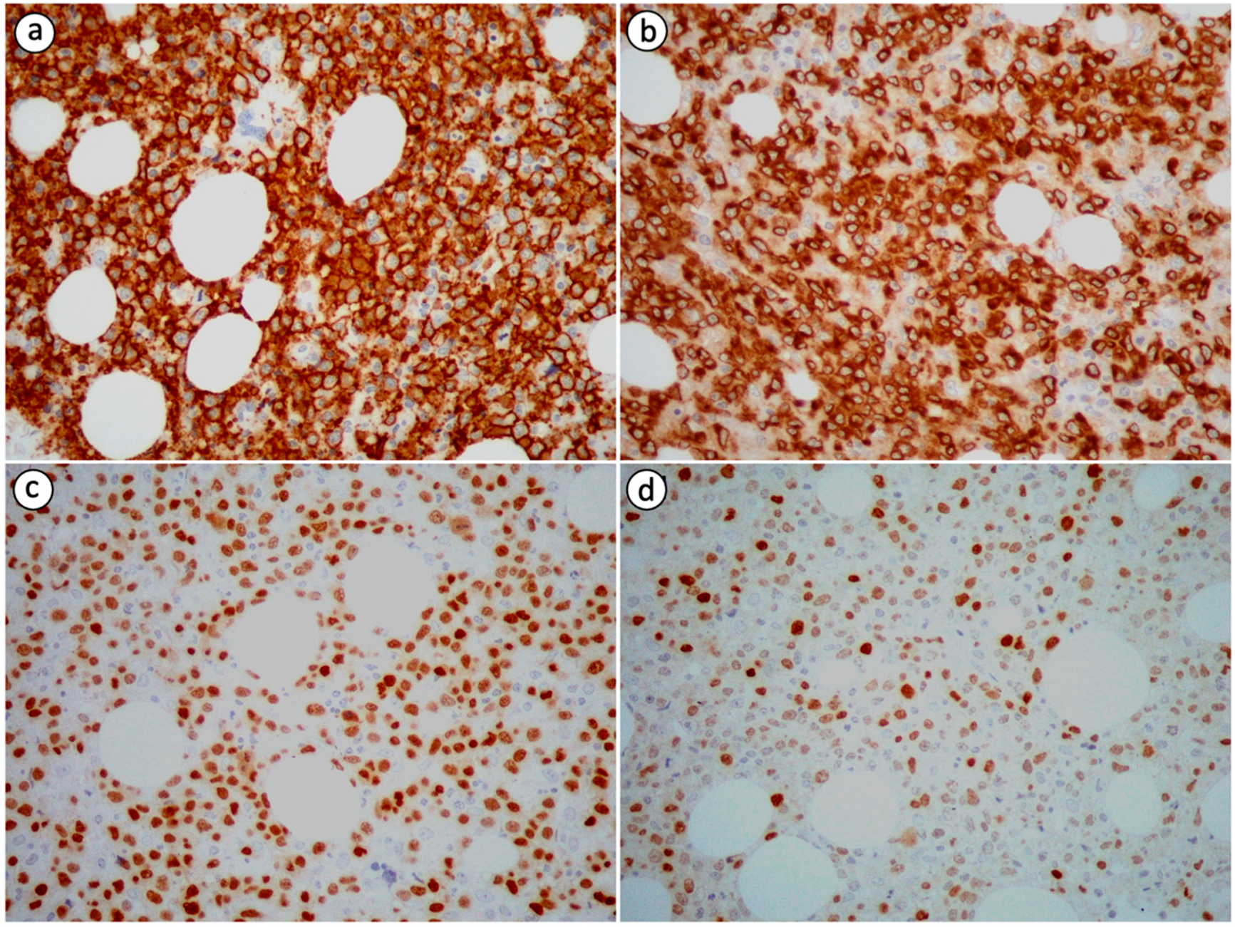 Diseases 11 00042 g002 Diseases 11 00042 g002