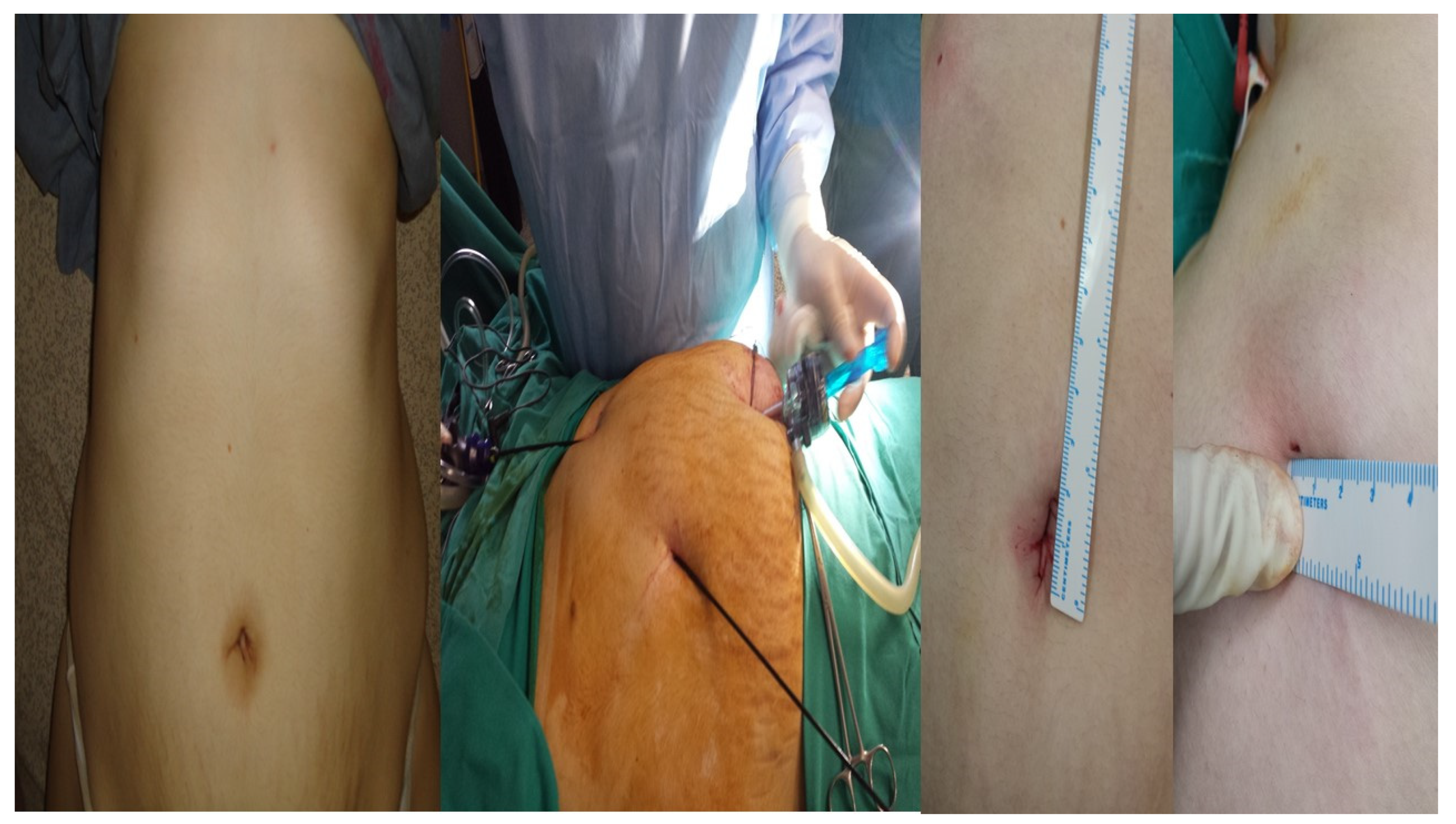 Diseases 11 00044 g001 Diseases 11 00044 g001