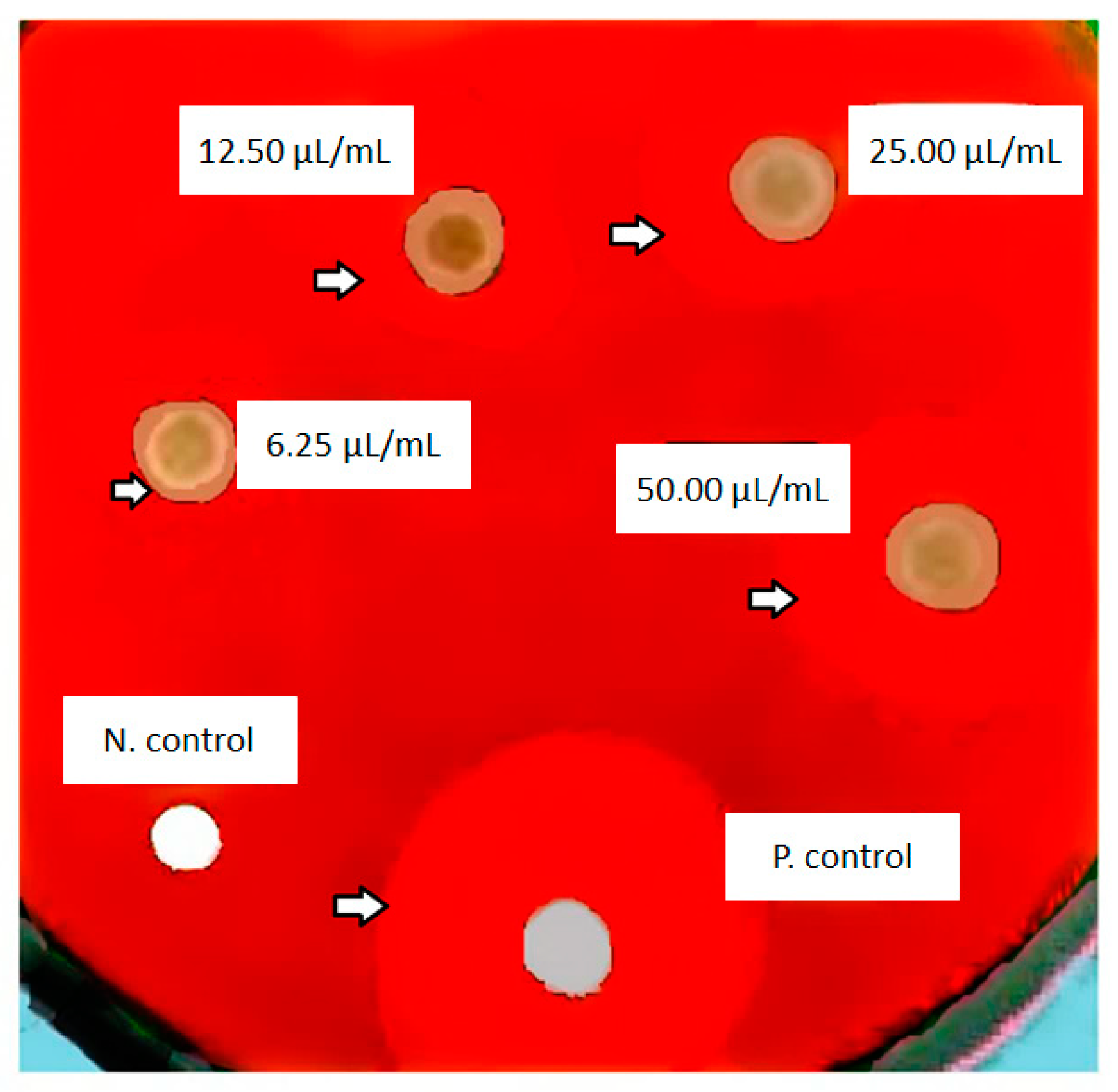 Diseases 11 00048 g006 Diseases 11 00048 g006