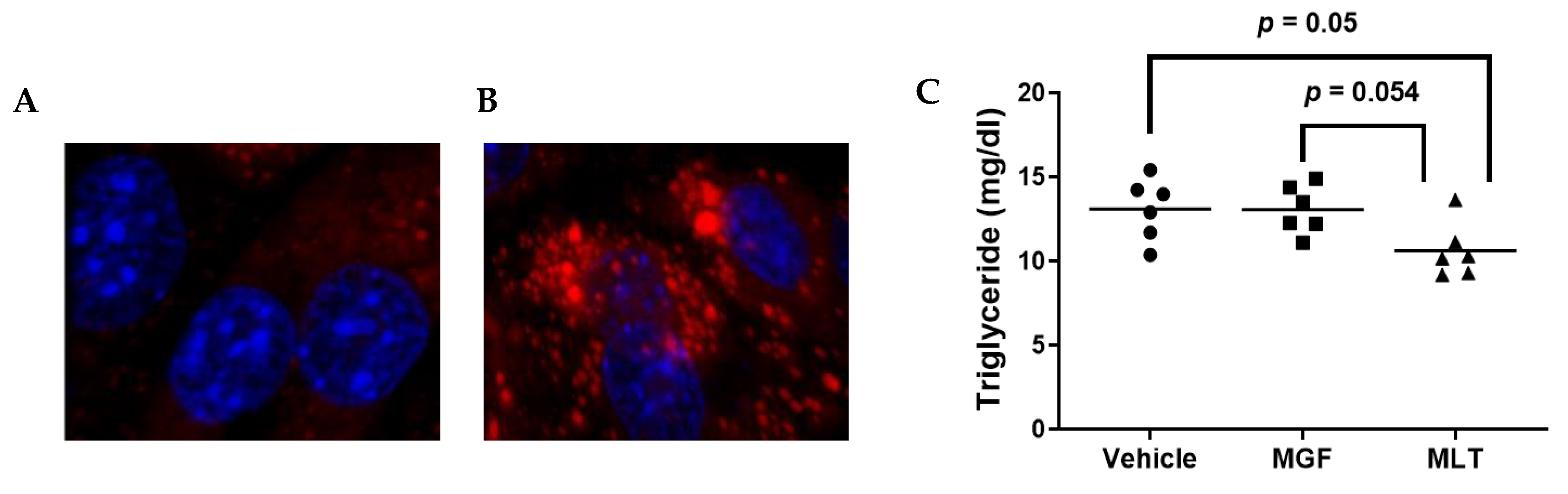 Diseases 11 00070 g003