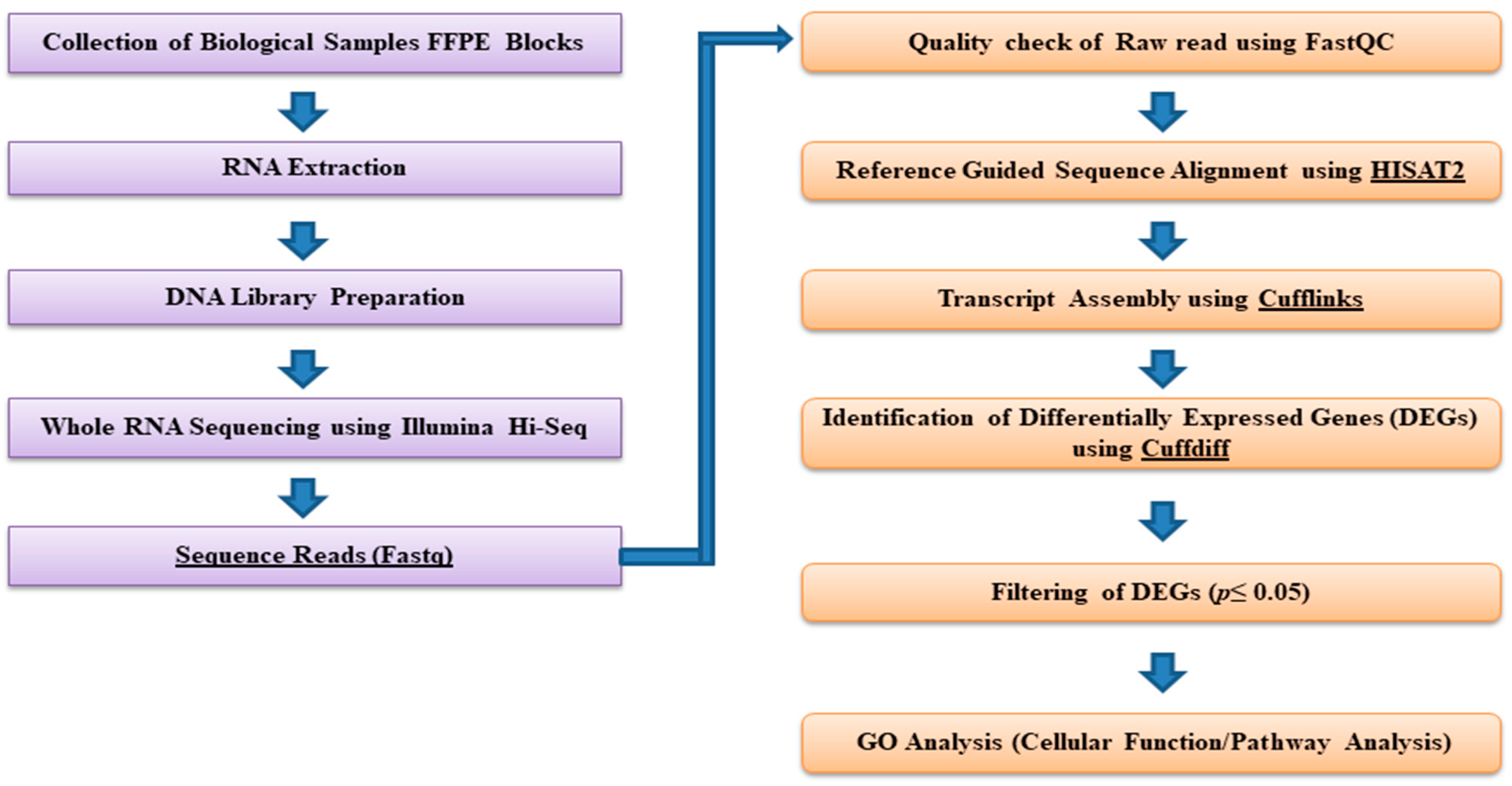 Towards Understanding the Key Signature Pathways Associated from ...