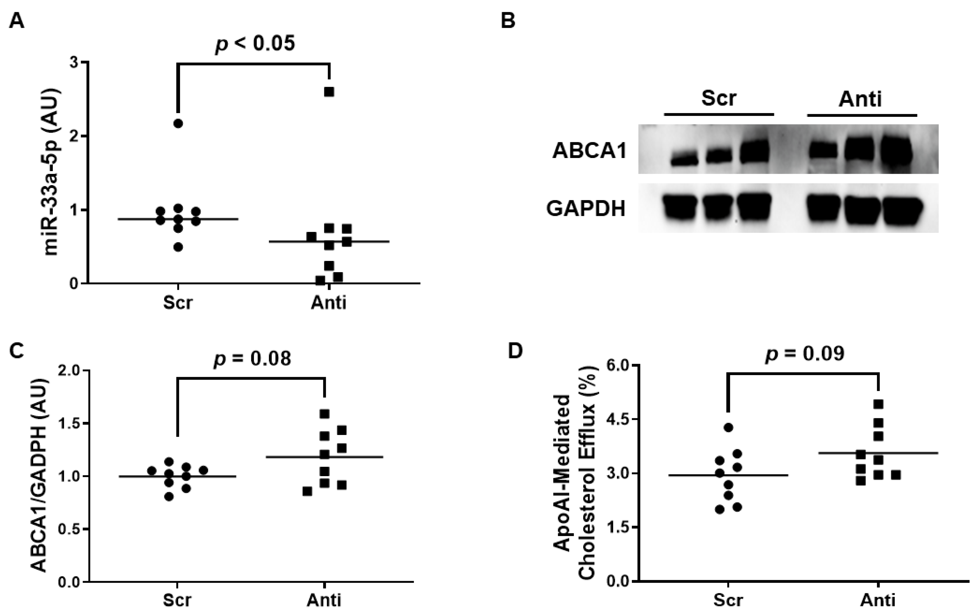 Diseases 11 00088 g004 Diseases 11 00088 g004