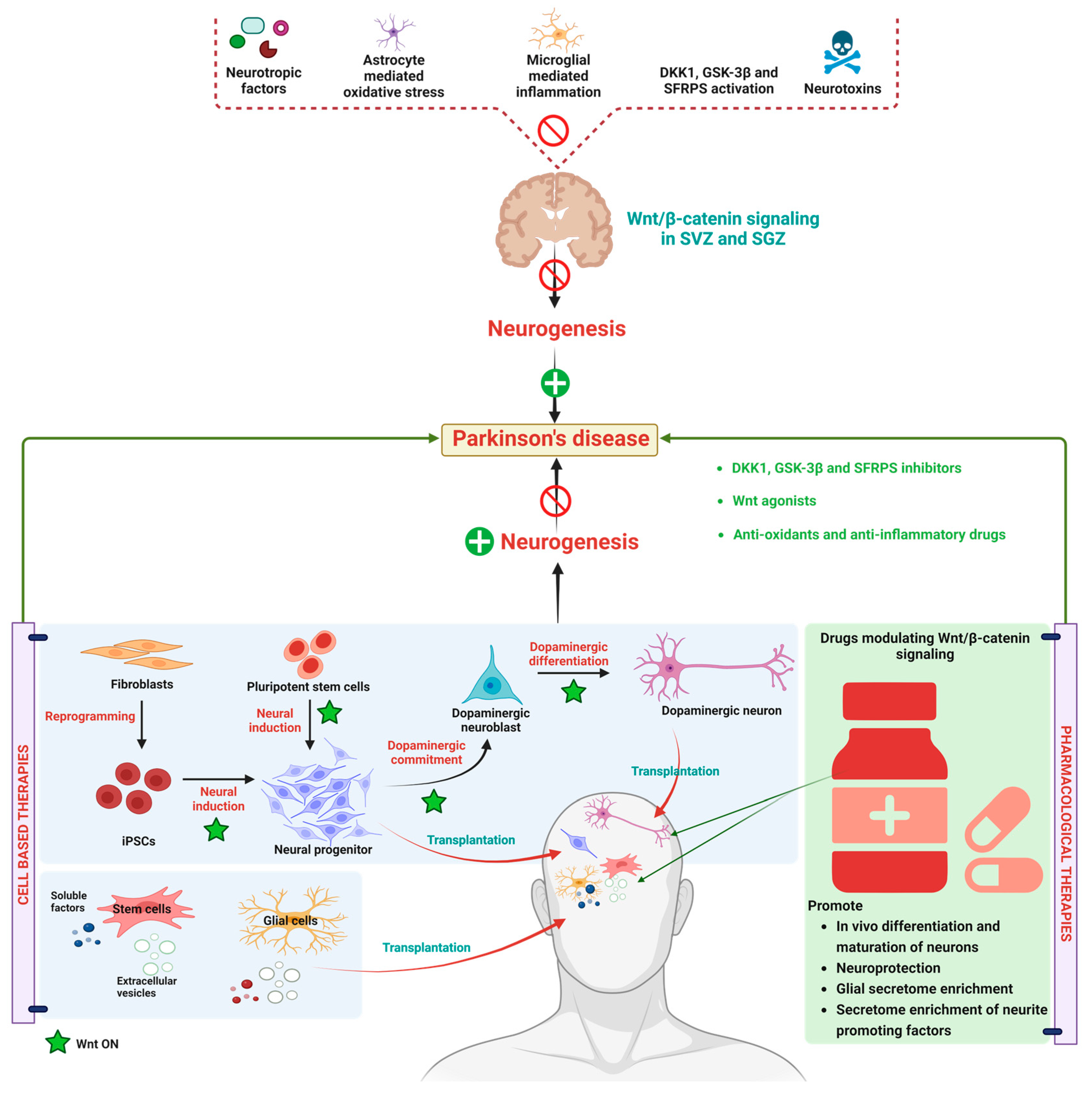 Diseases 11 00089 g003
