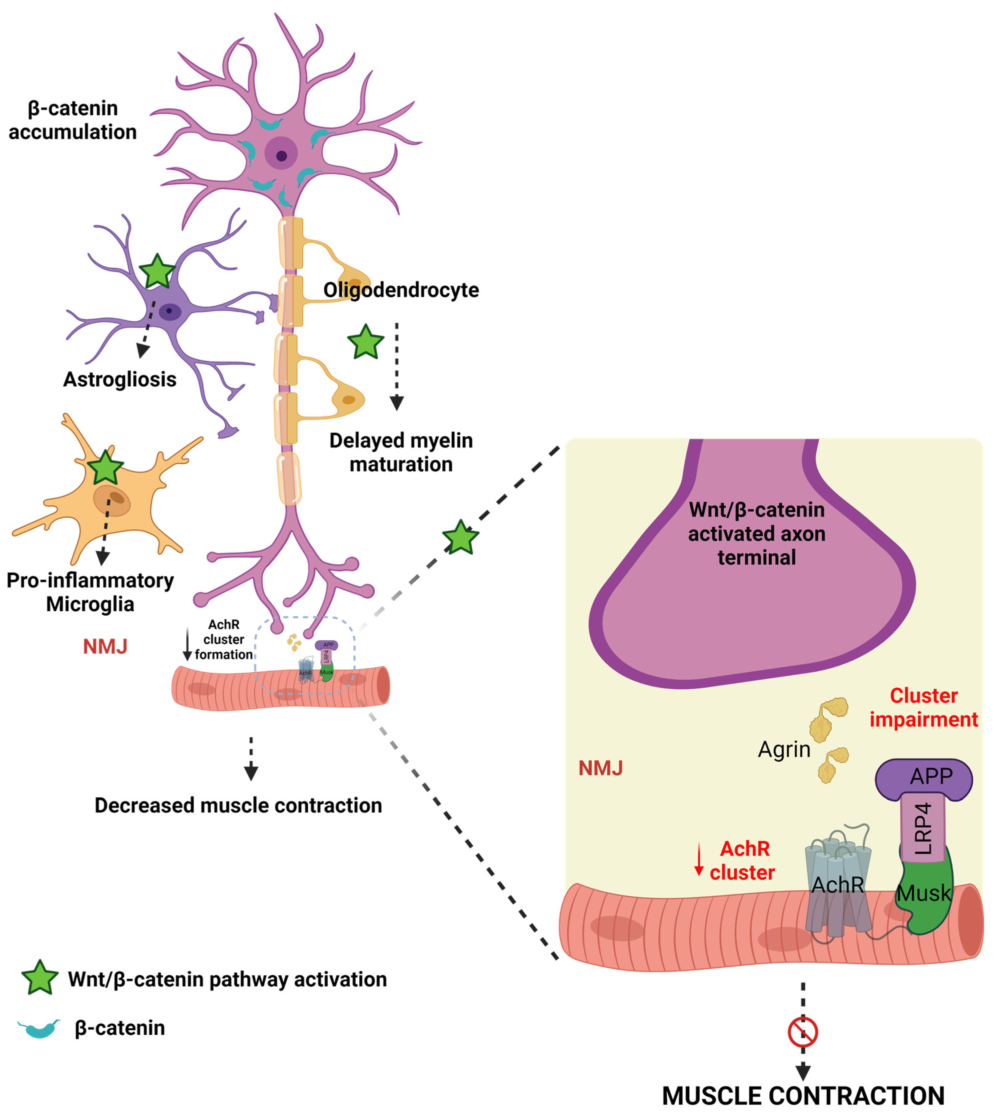 Diseases 11 00089 g004