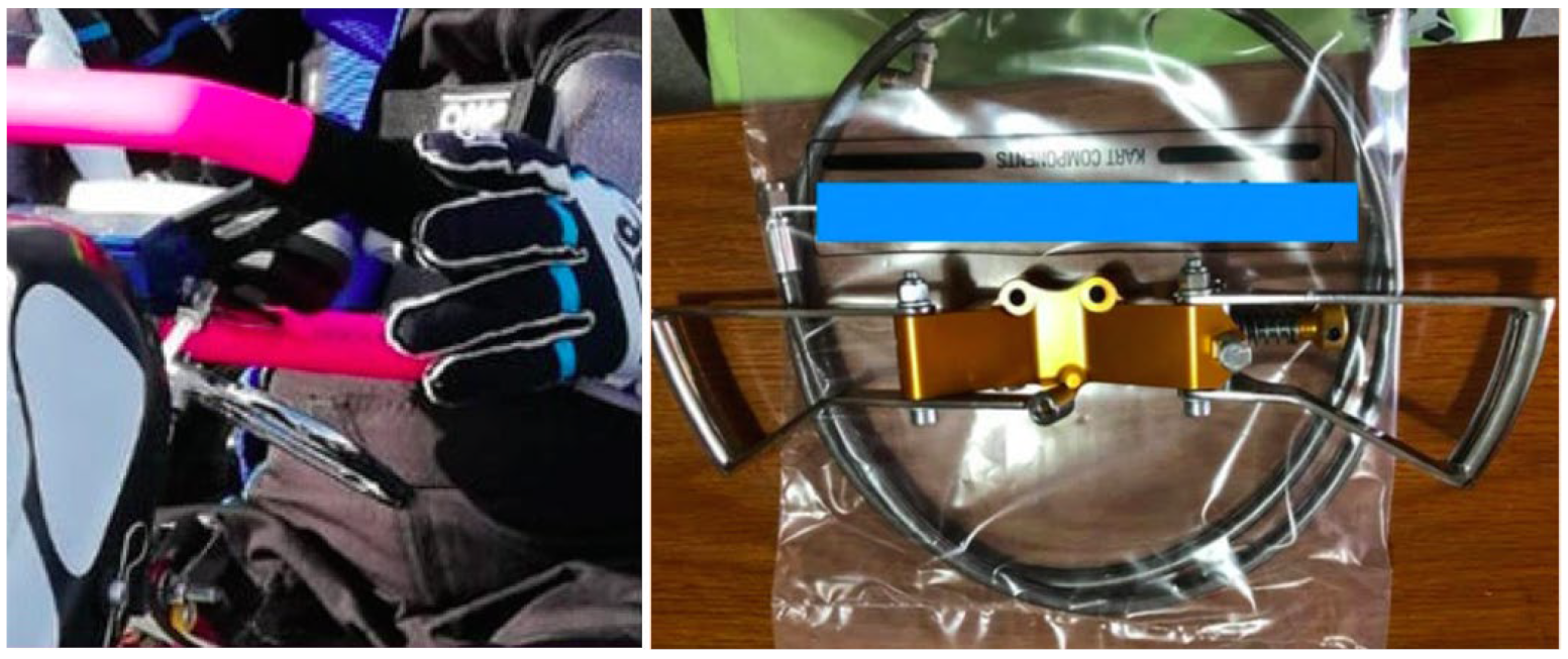 Diseases 11 00107 g002