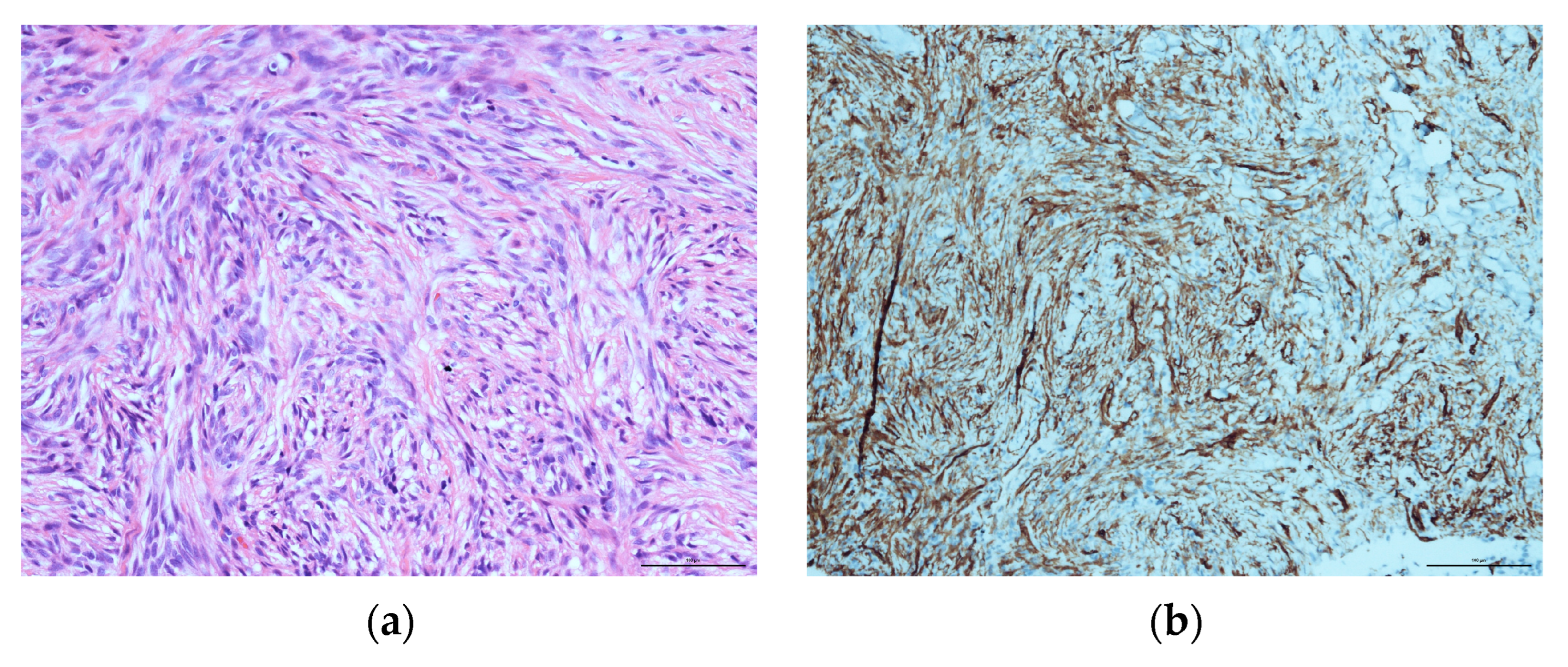 Diseases 11 00108 g002