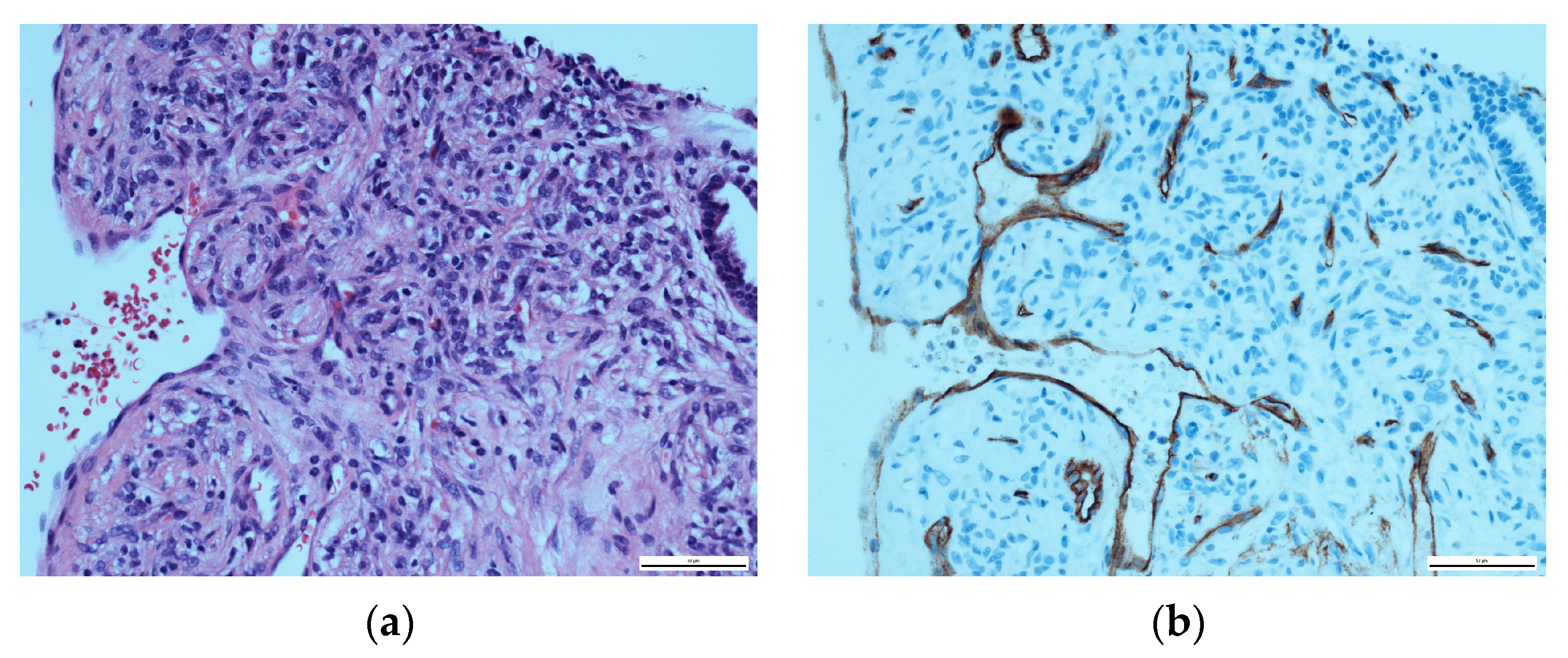 Diseases 11 00108 g004