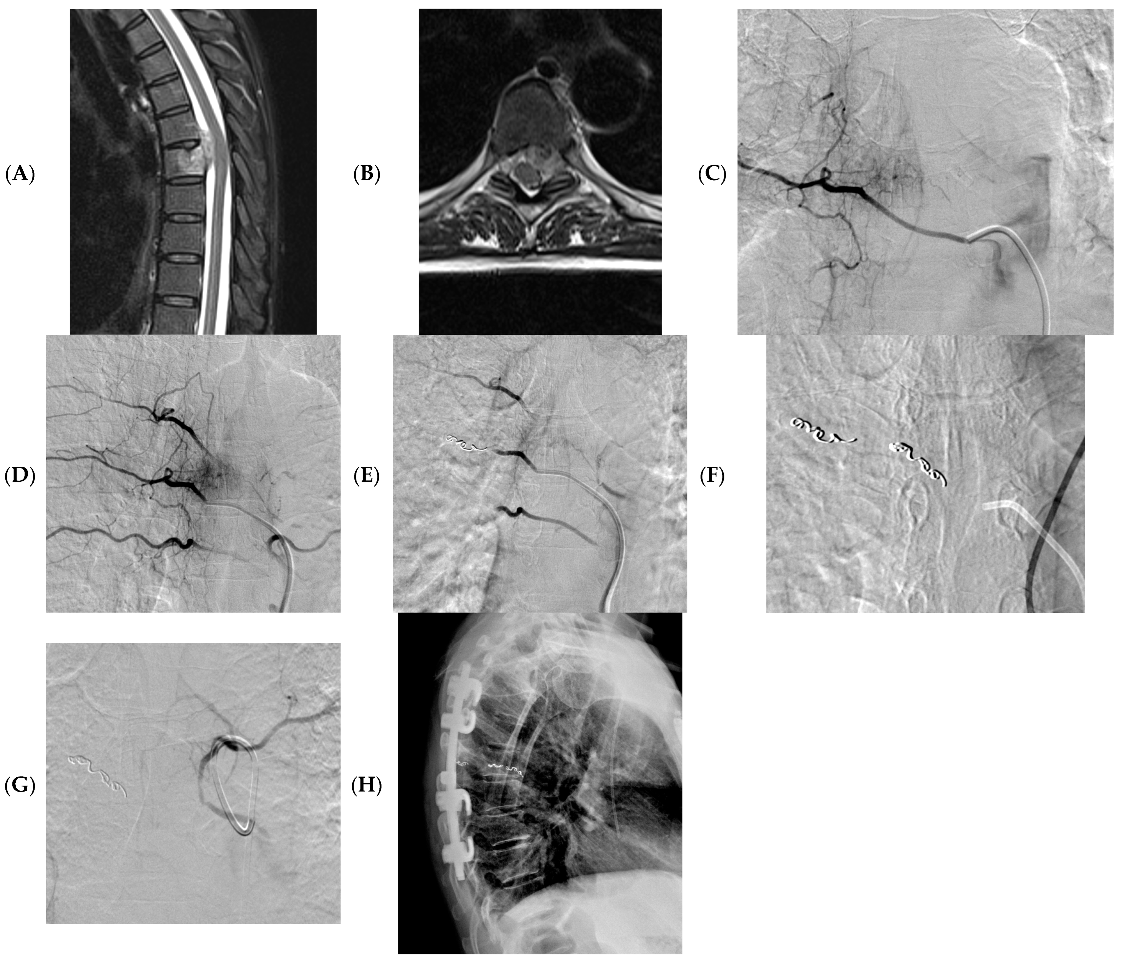 Diseases 11 00109 g002