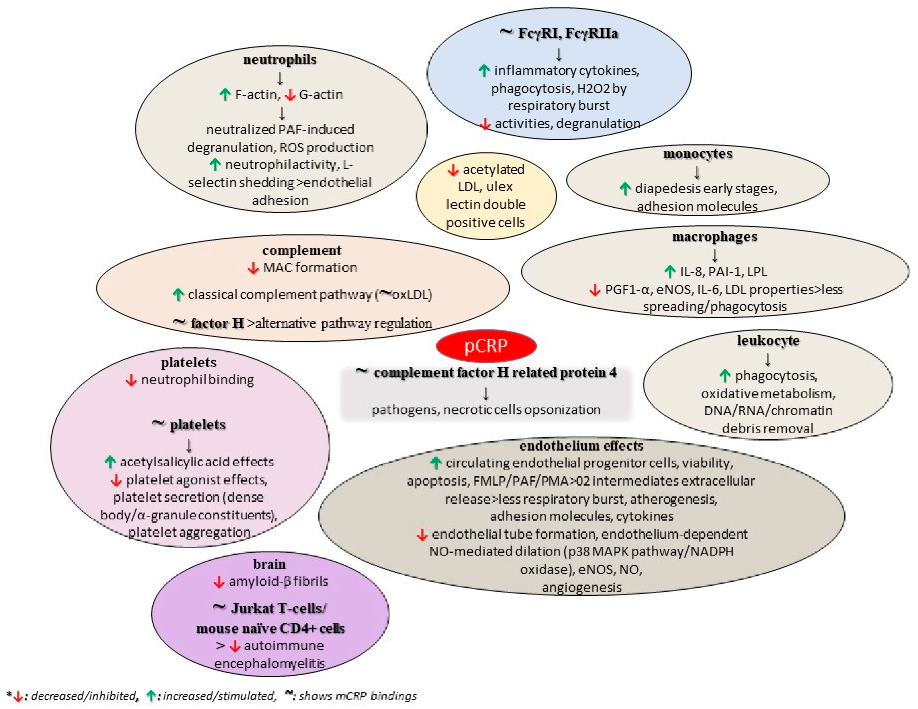 Diseases 11 00132 g003 Diseases 11 00132 g003