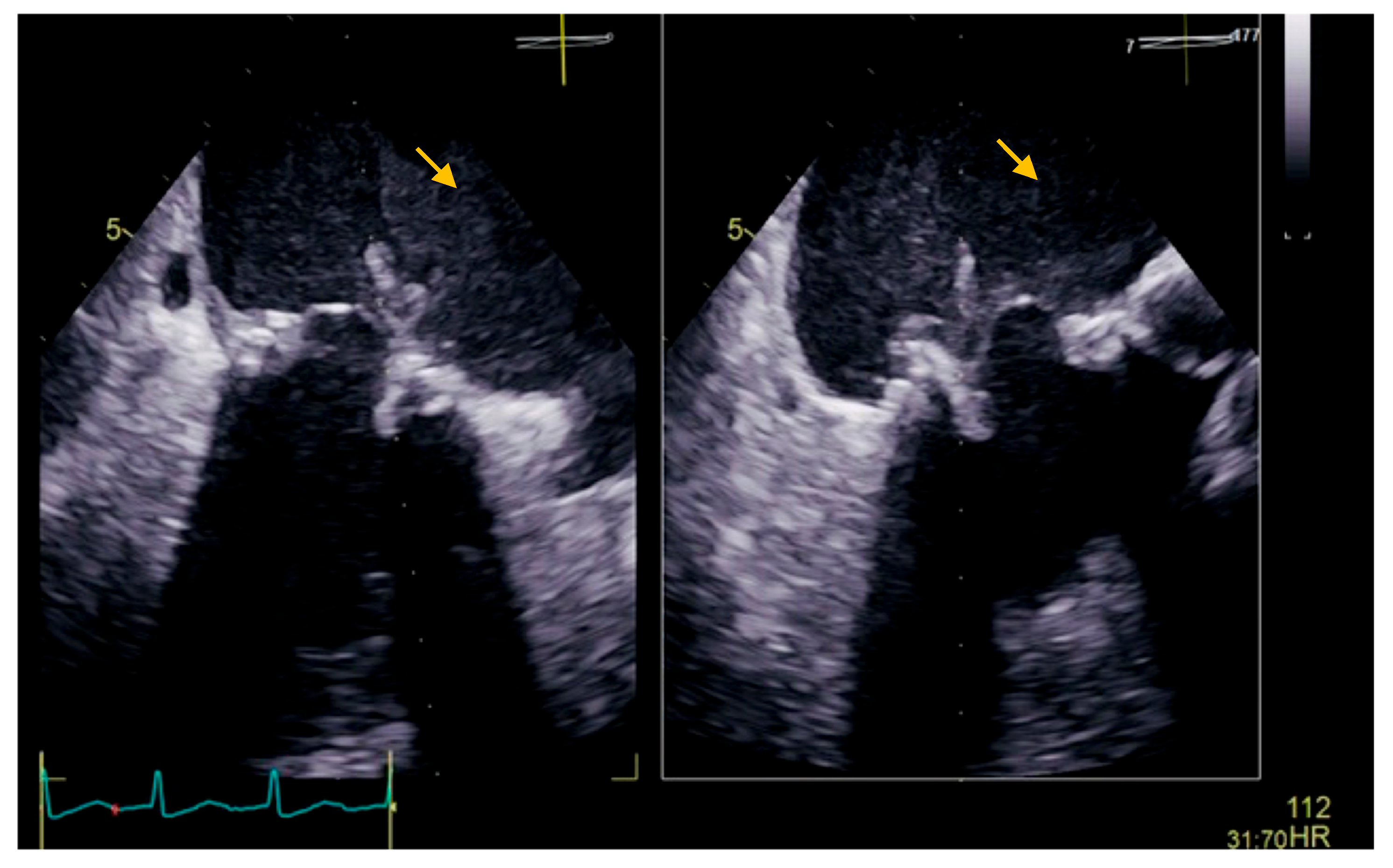 Diseases 11 00133 g002