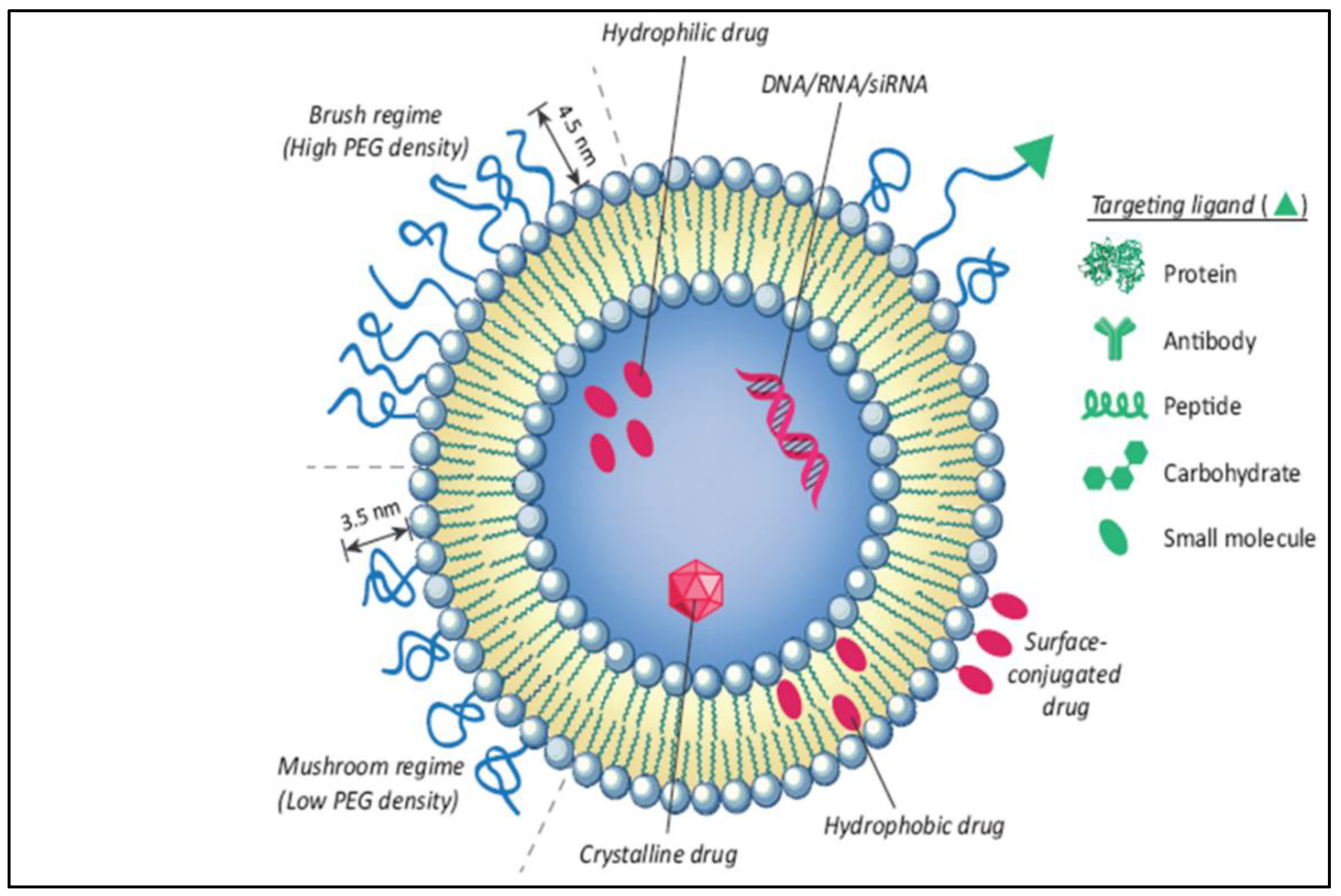 Diseases 11 00148 g009