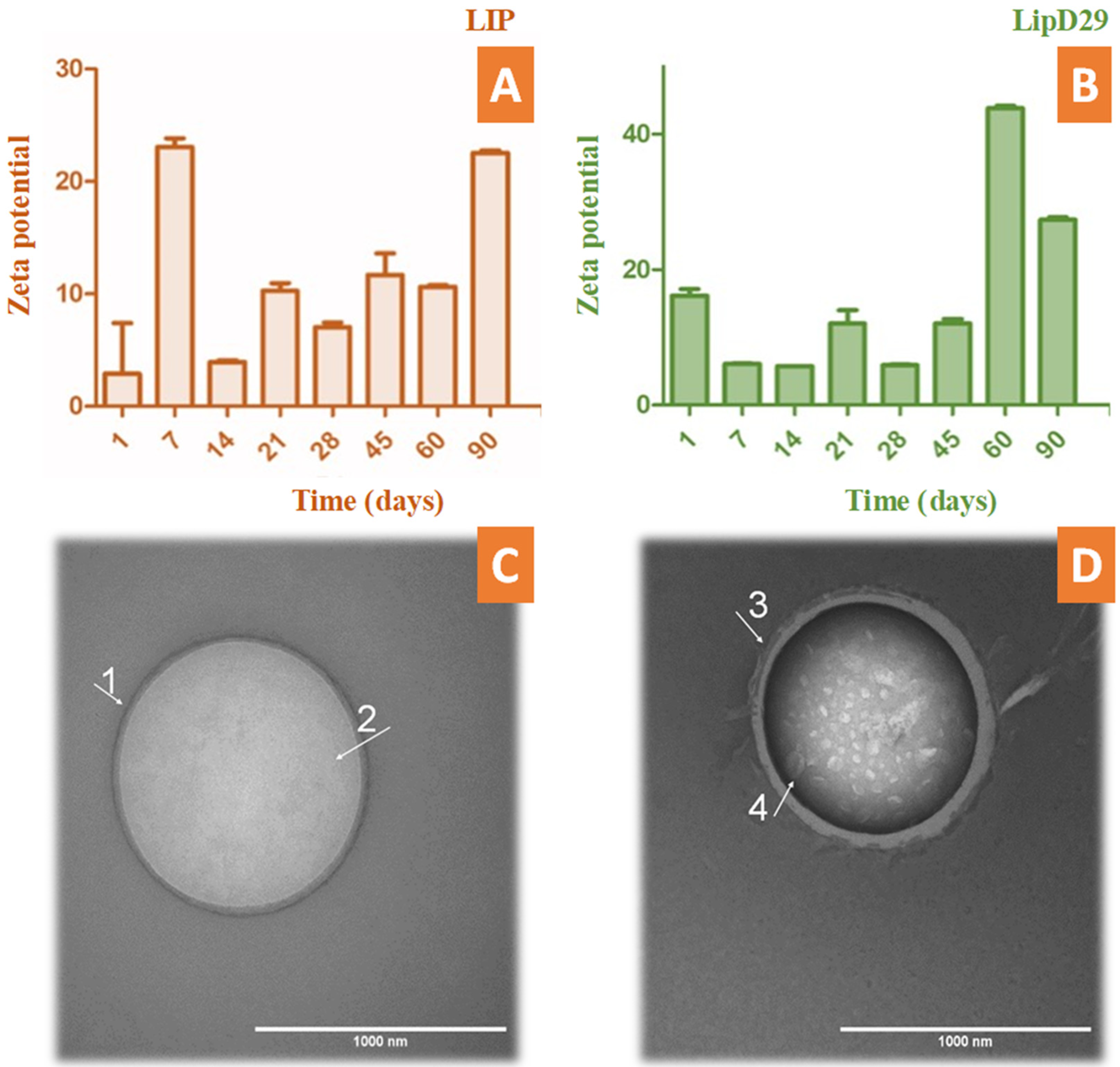 Diseases 11 00150 g001 Diseases 11 00150 g001