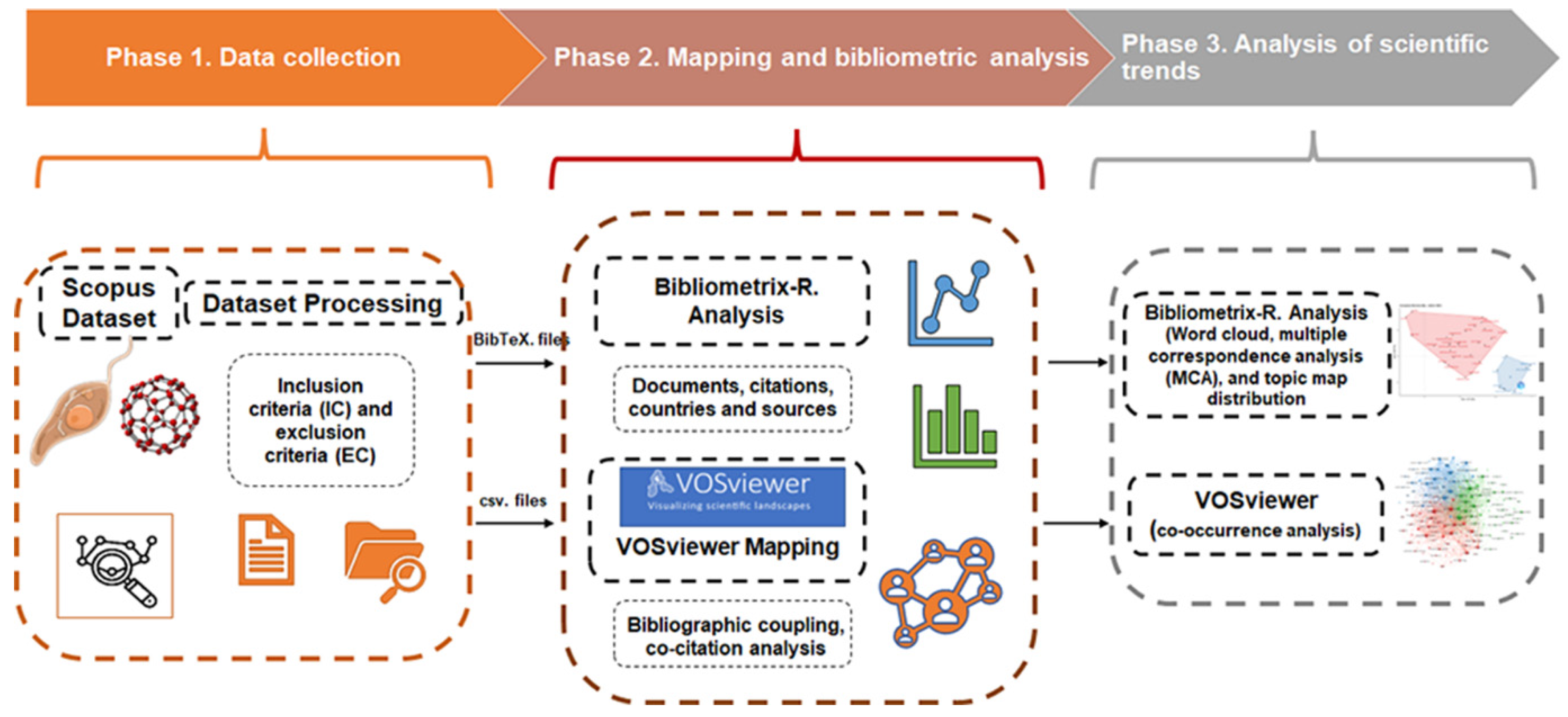 Diseases 11 00153 g001