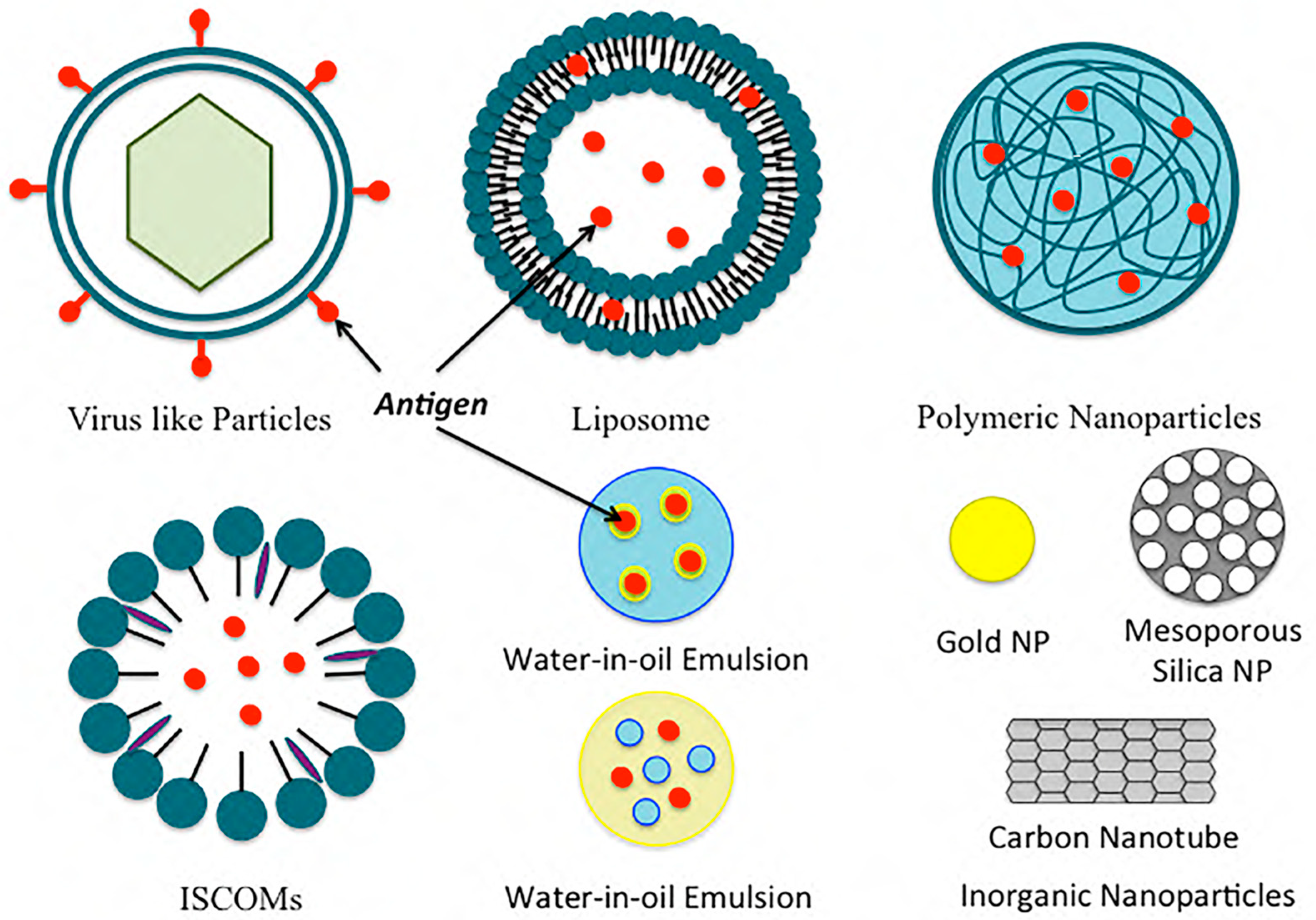 Diseases 11 00177 g002