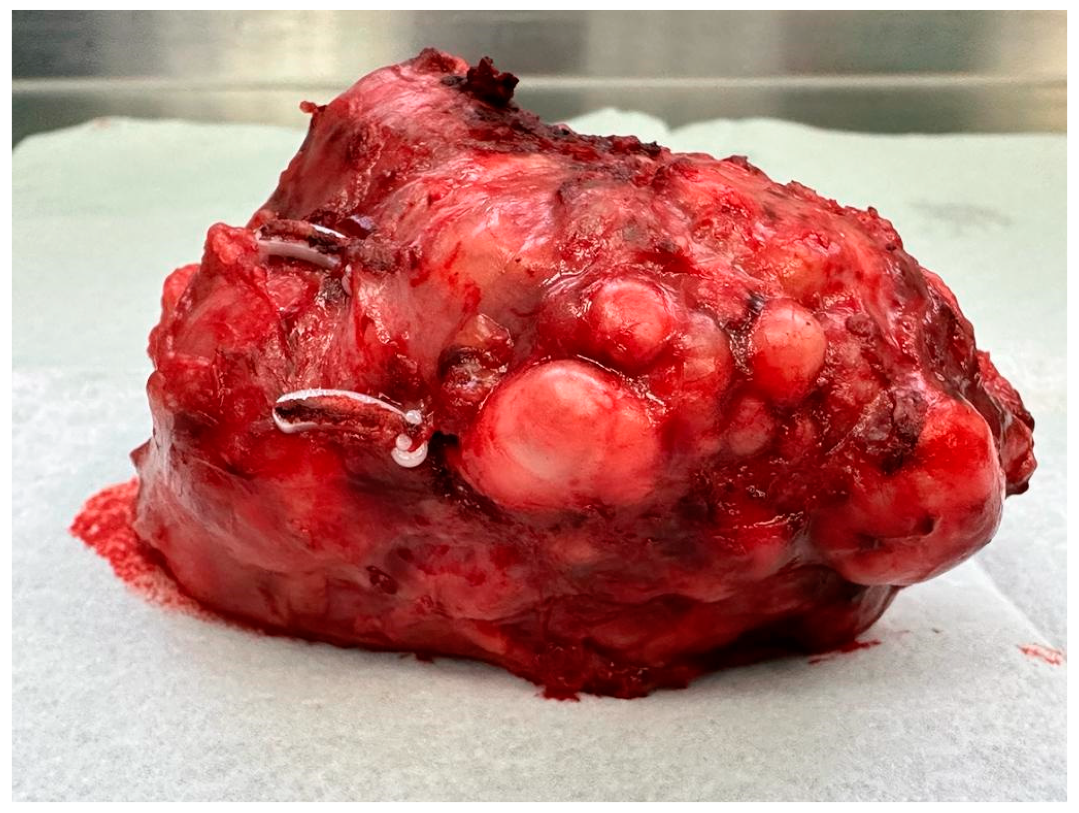 Diseases 12 00006 g003